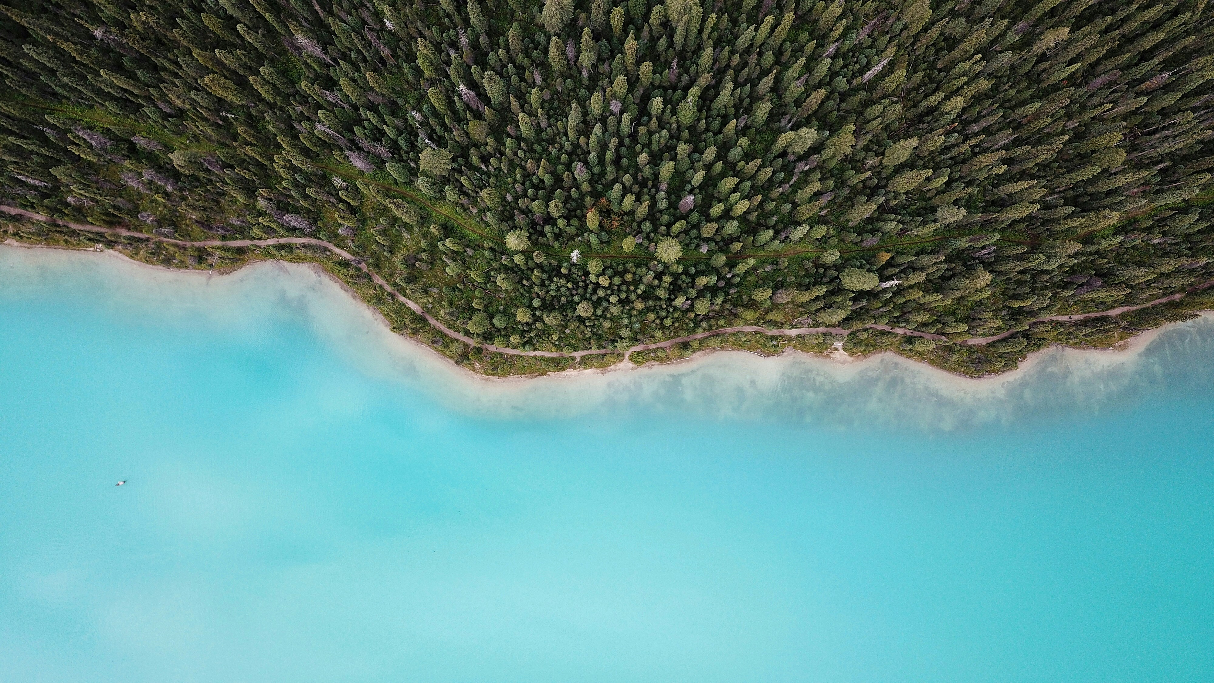 Aerial View of Forest Lake