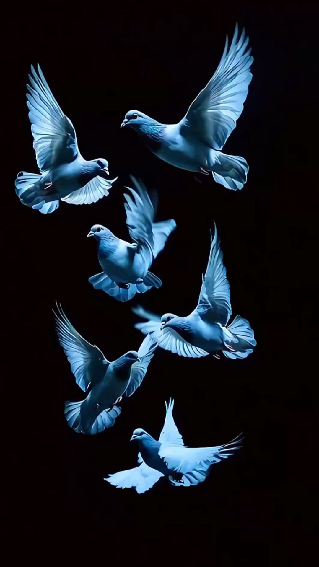 Wallpapers