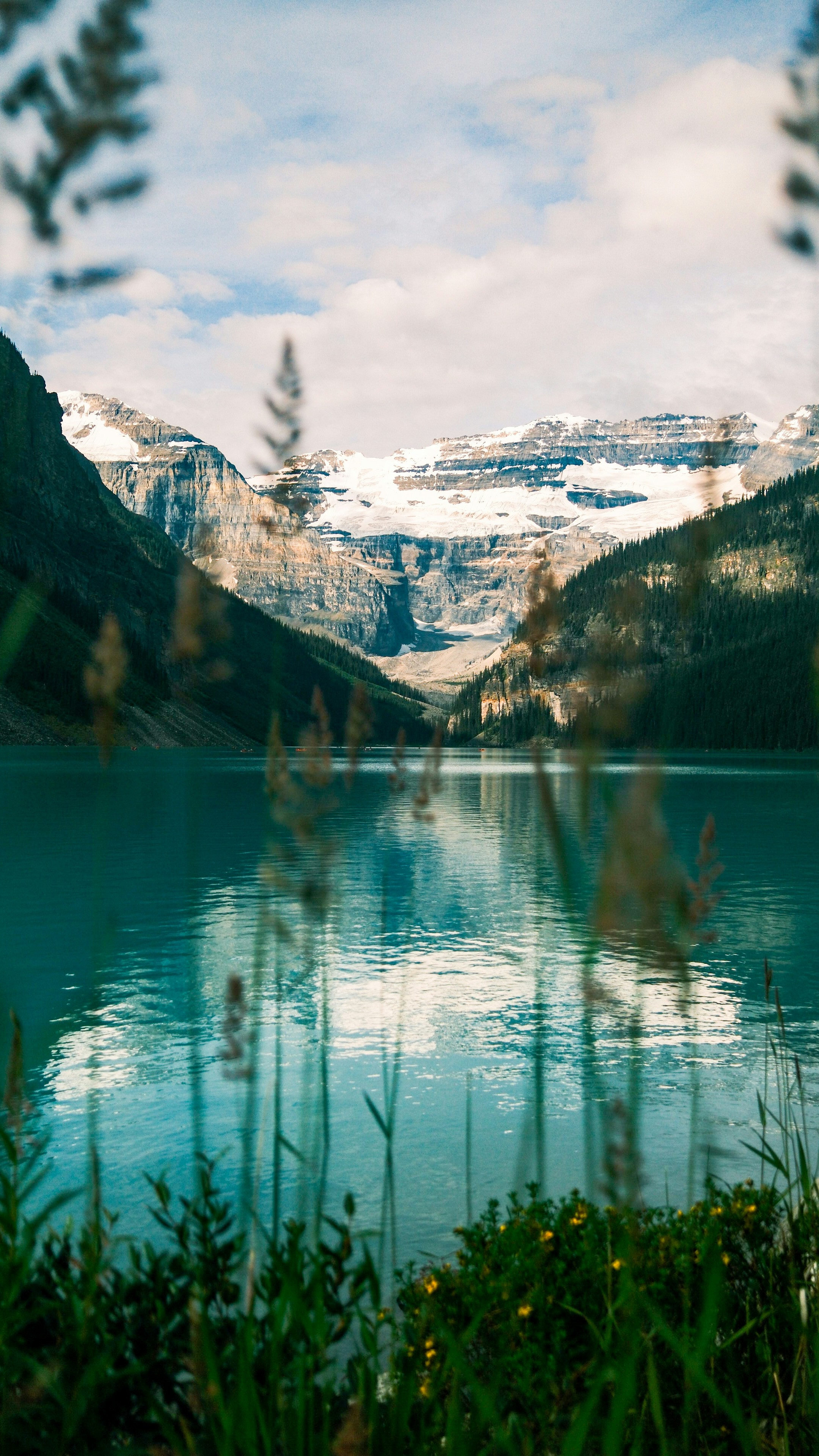 Wallpapers