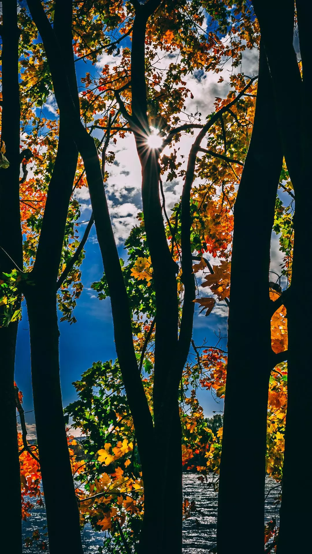 Wallpapers