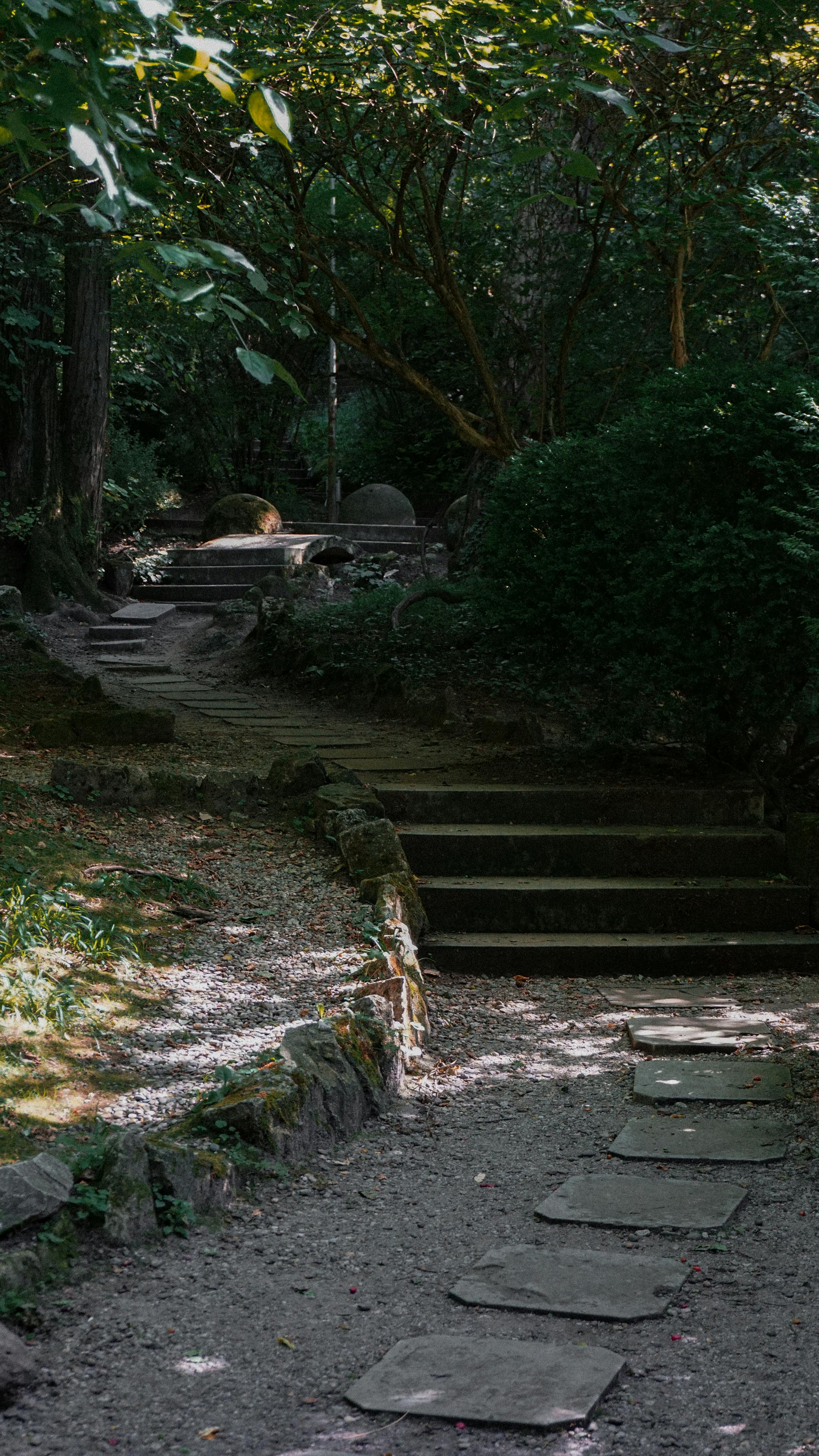 Shaded Woodland Stone Path