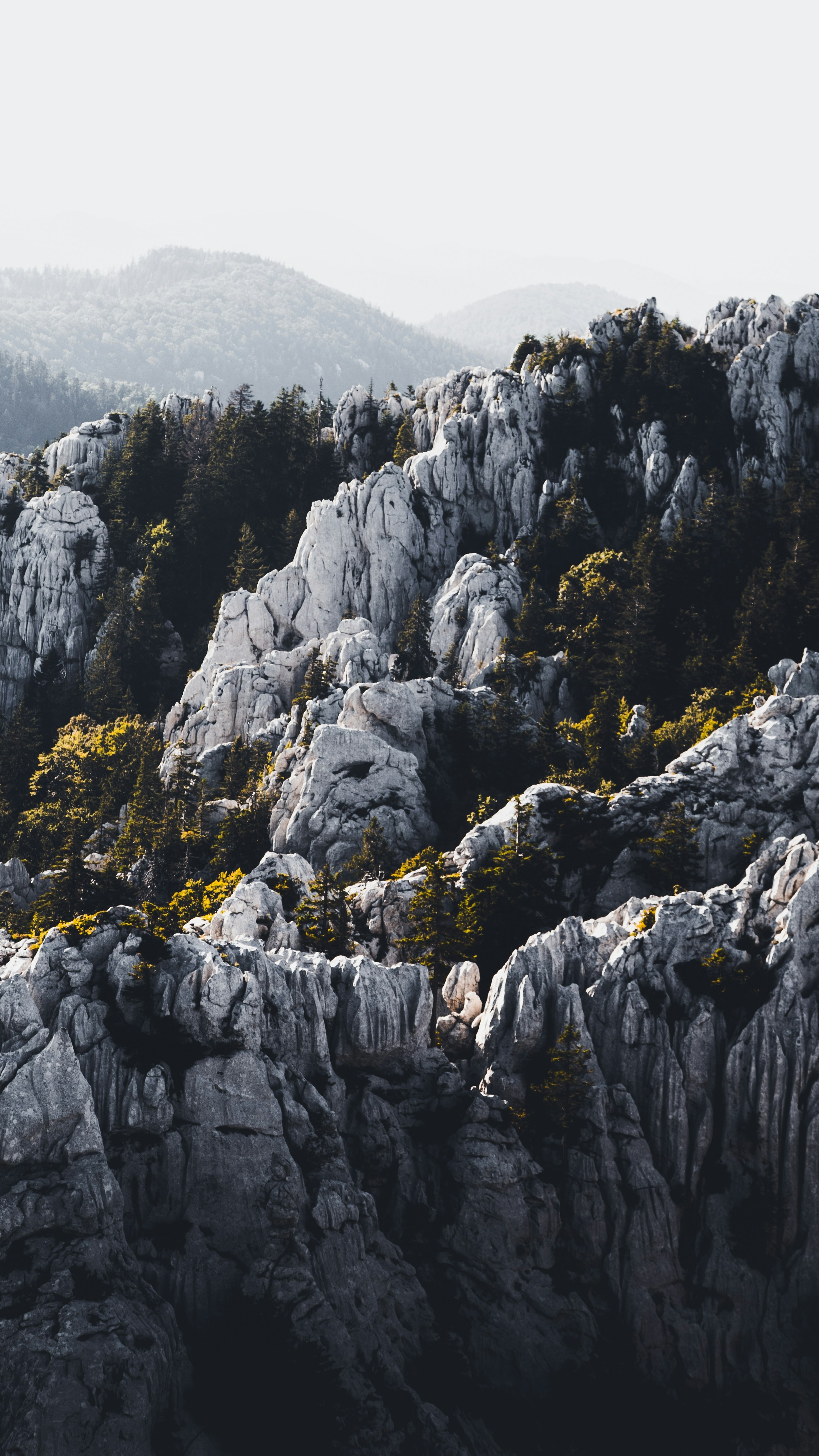 Wallpapers
