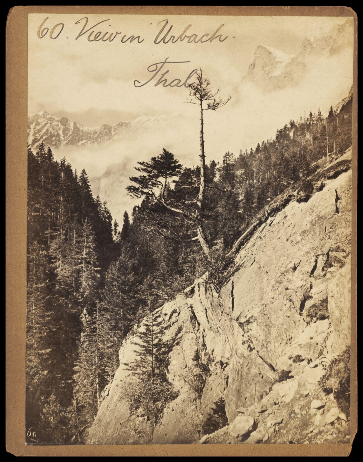 Urbach Valley Mountain View