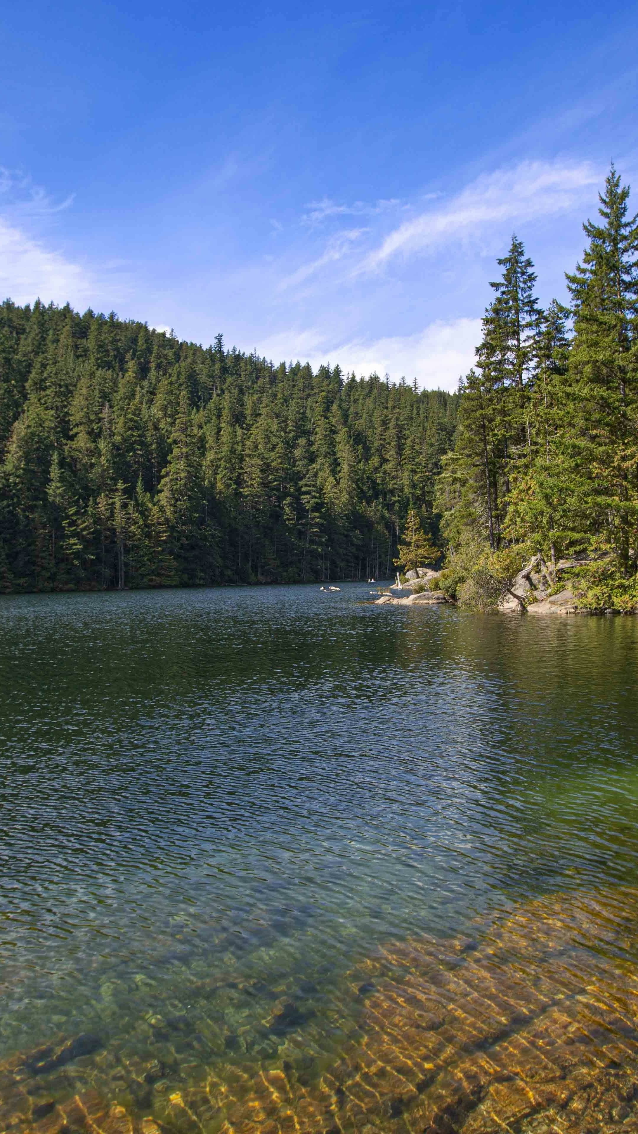 Calm Forest Lake Landscape