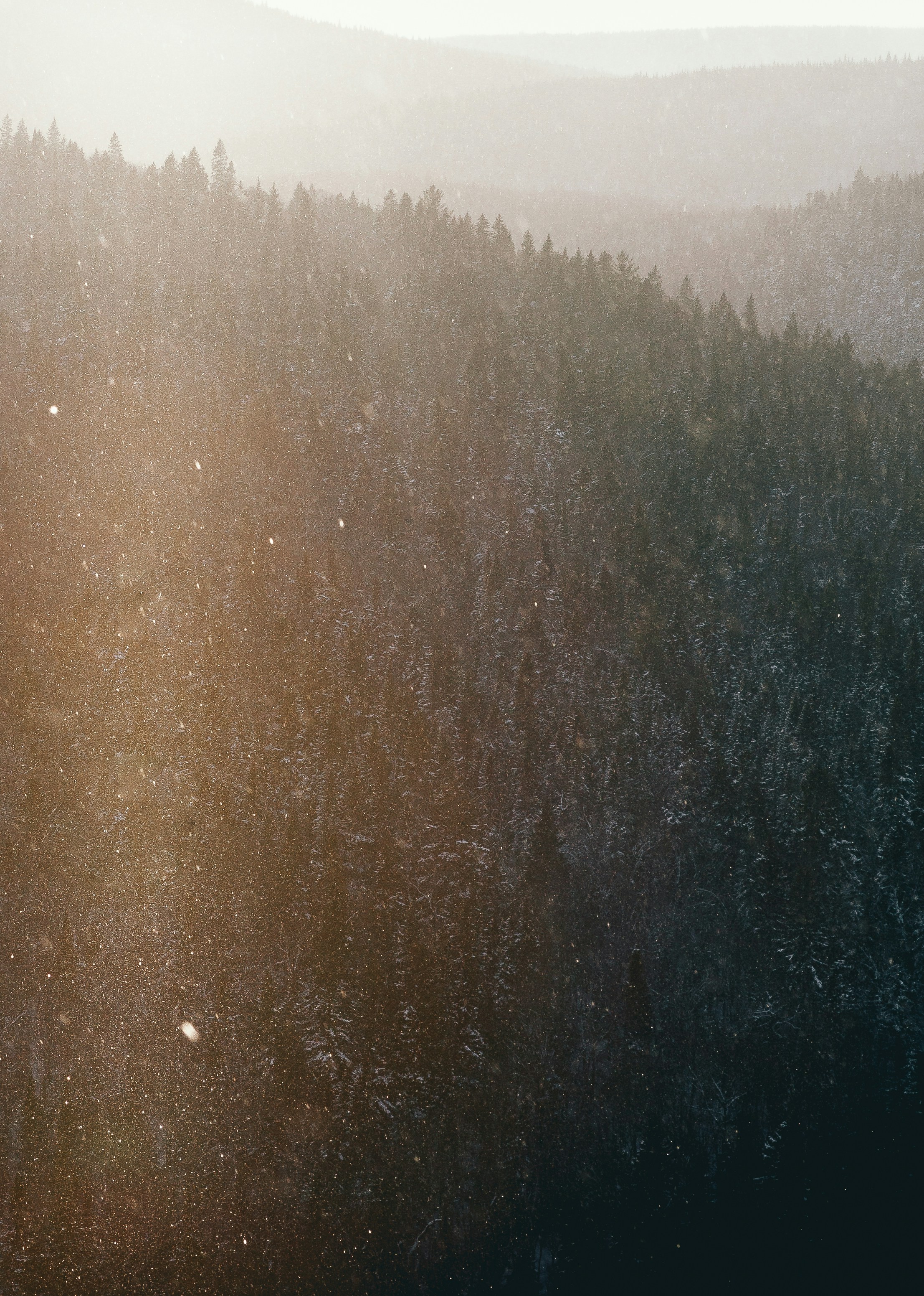 Snowy Forest Mountain Ridges