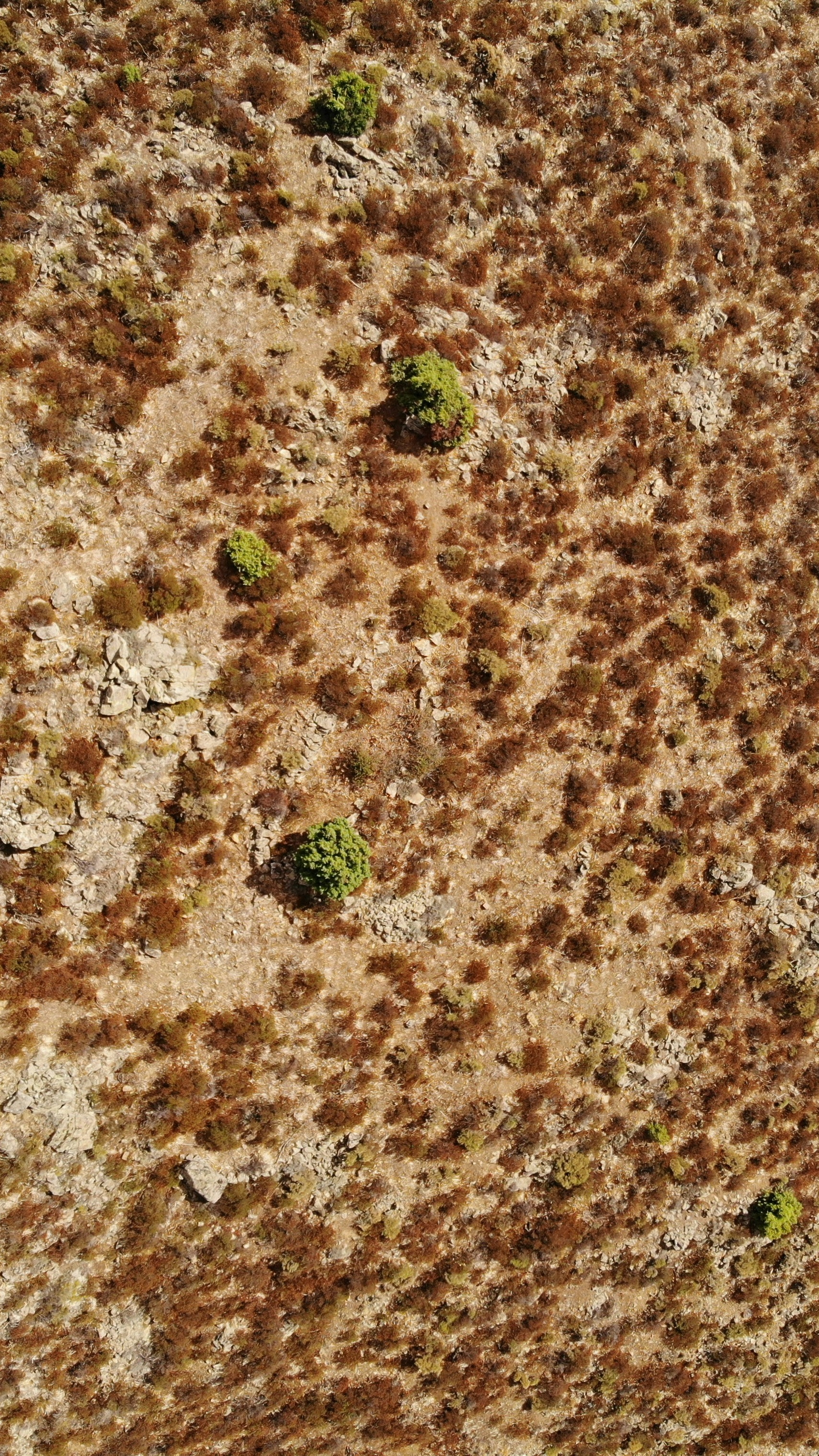 Aerial View of Dry Hillside