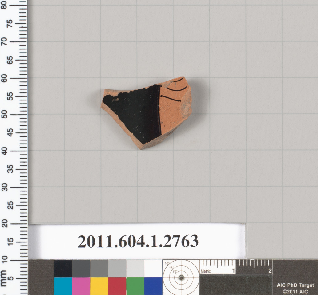 Archaeological Pottery Shard Specimen