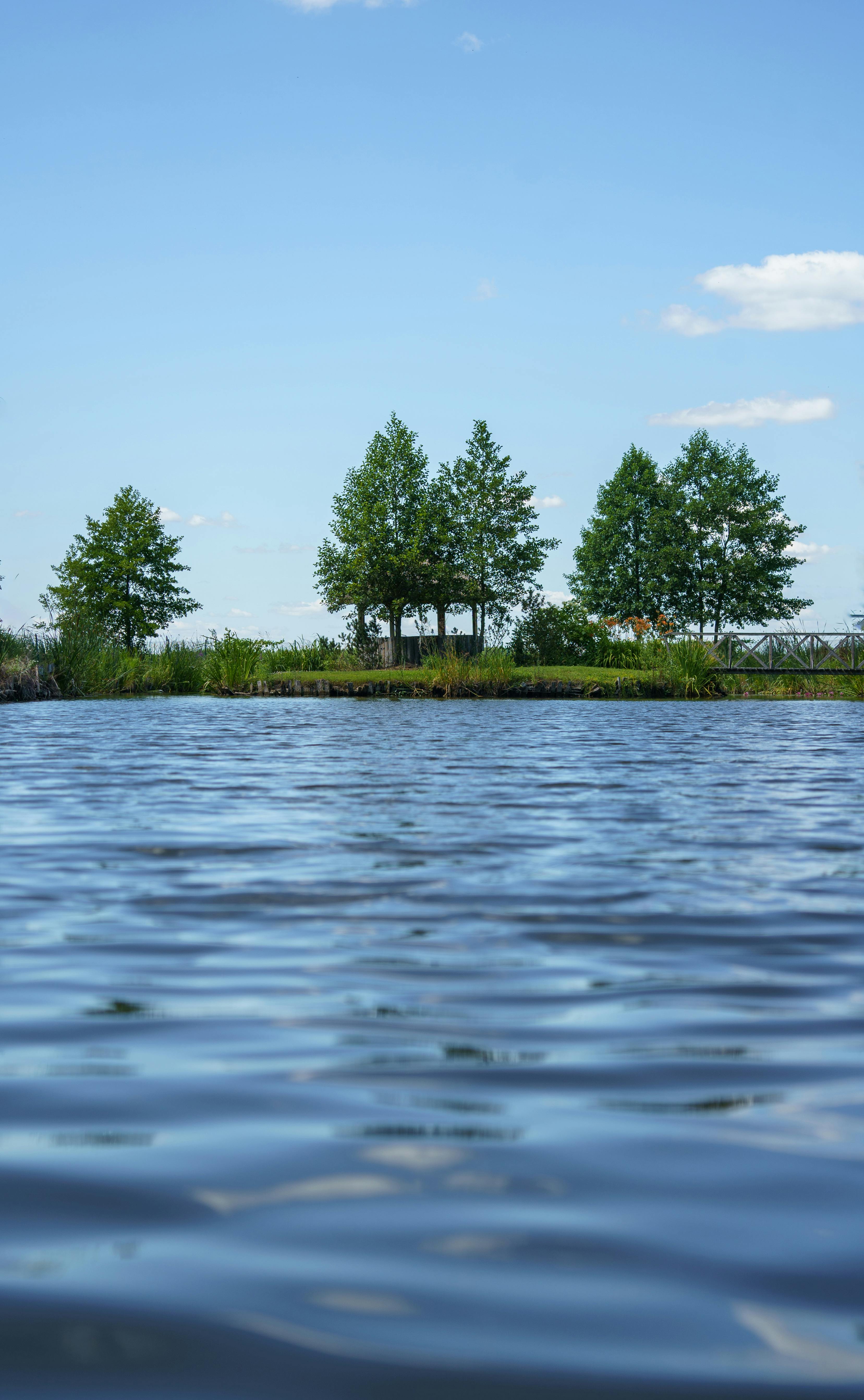 Calm River View with Tree-lined Bank