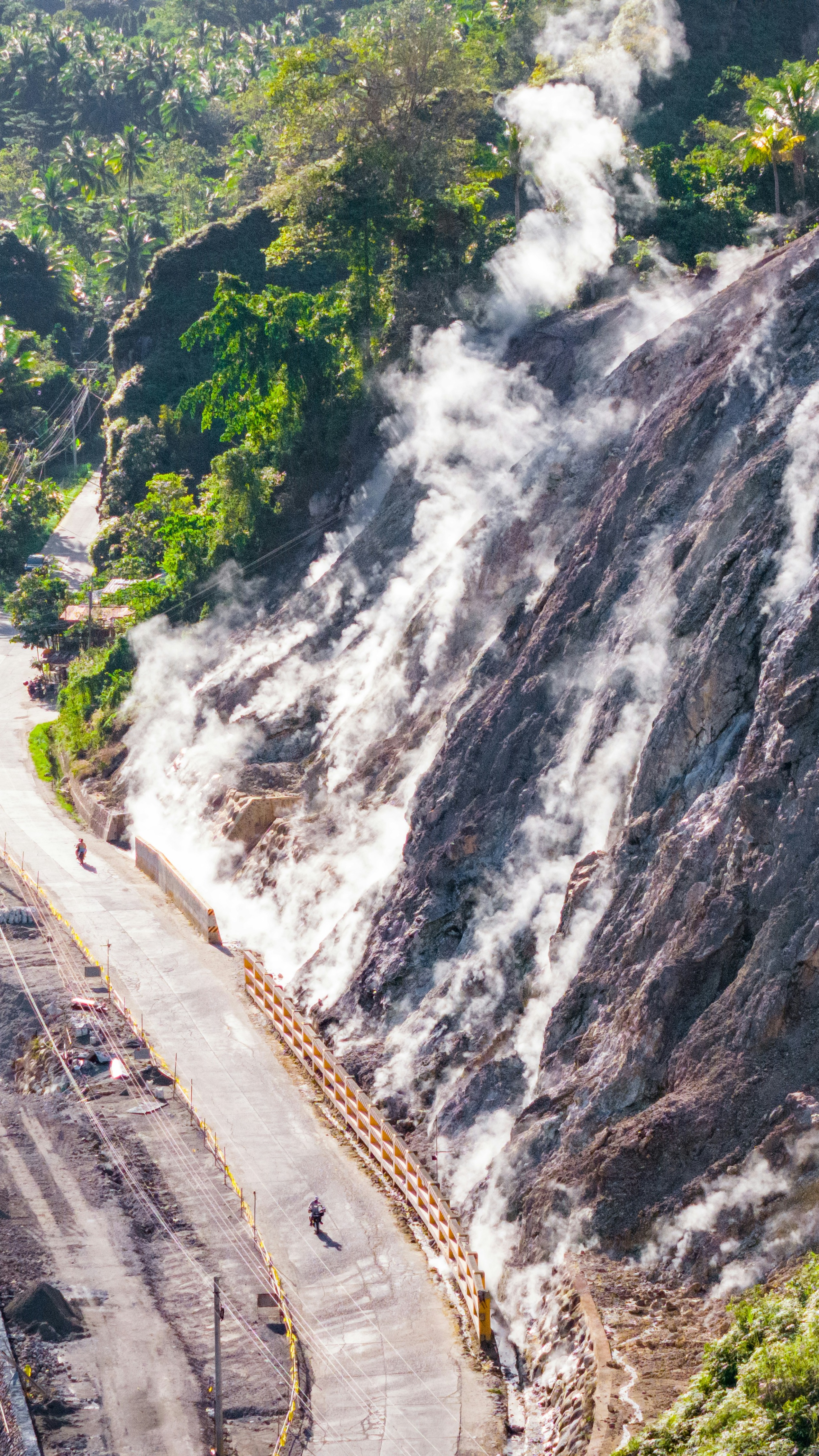 Forest & Flora