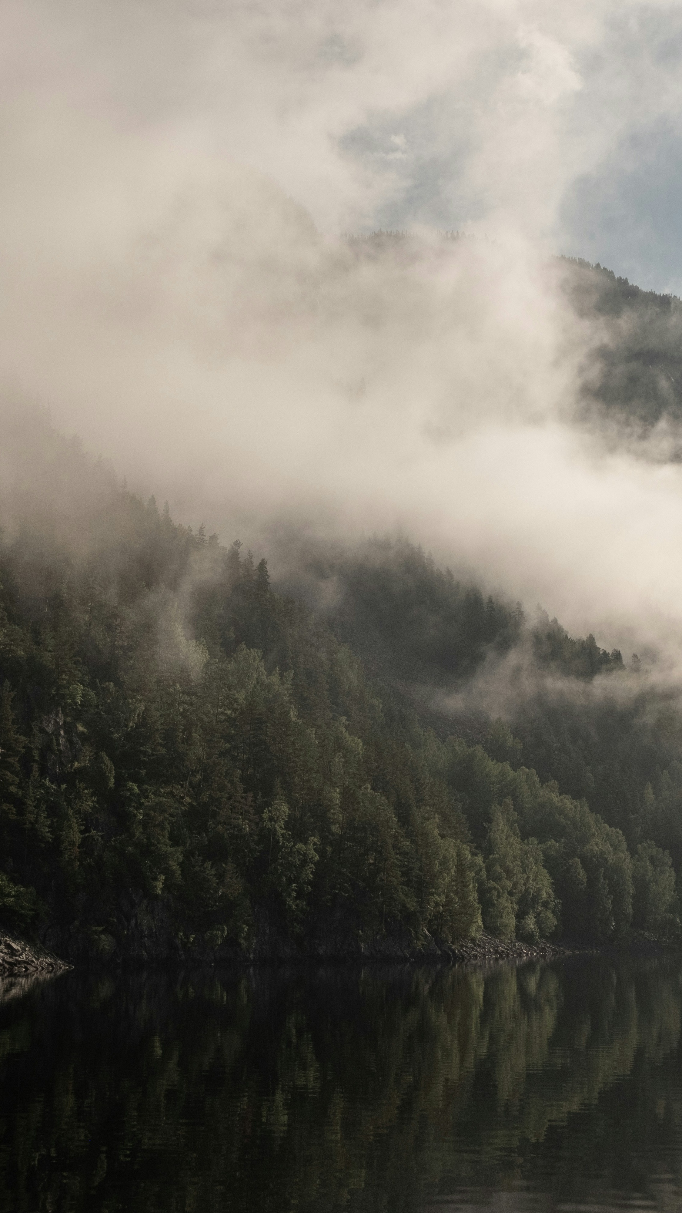 Landscapes