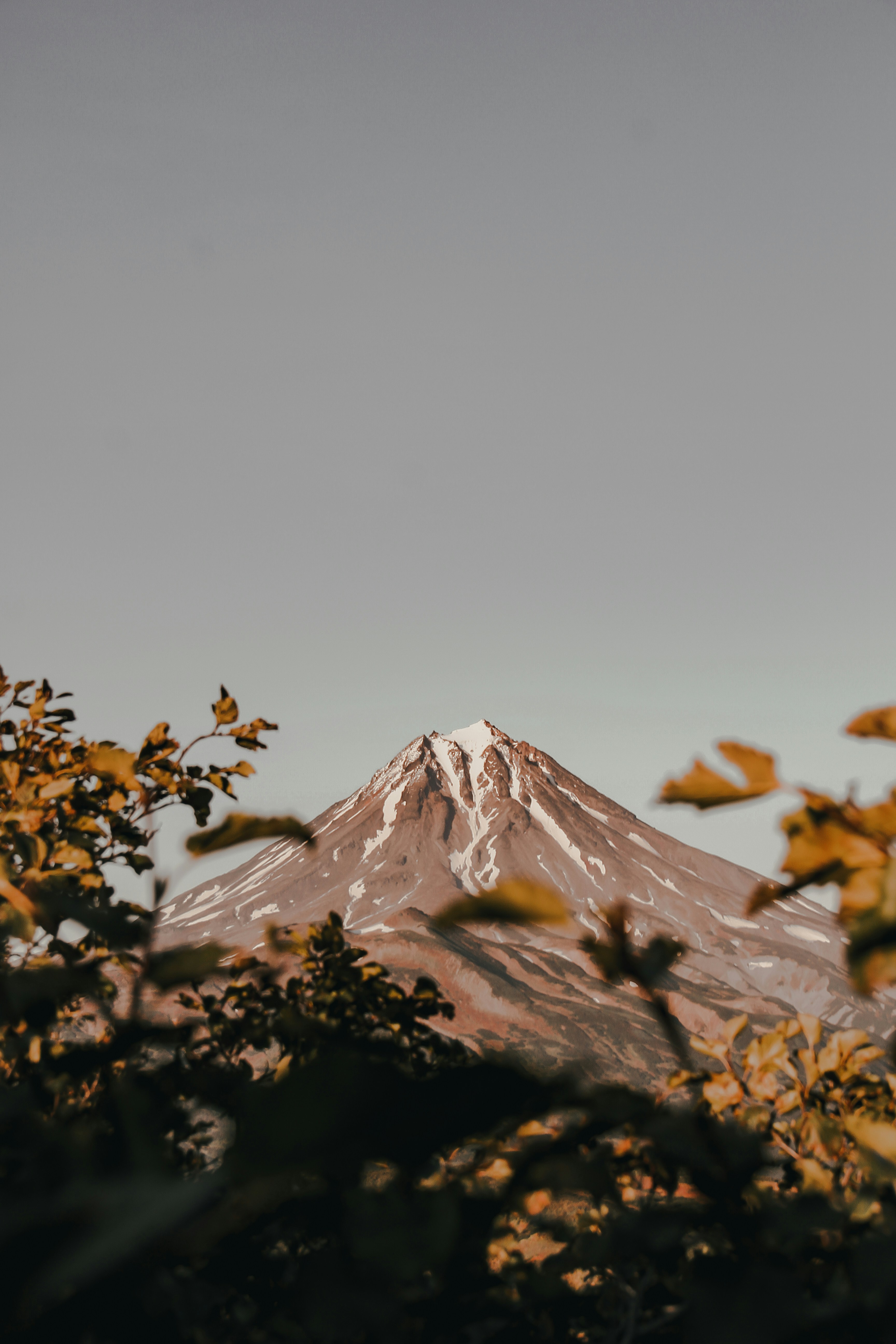 Snow-capped Mount Fuji Through Autumn Foliage
