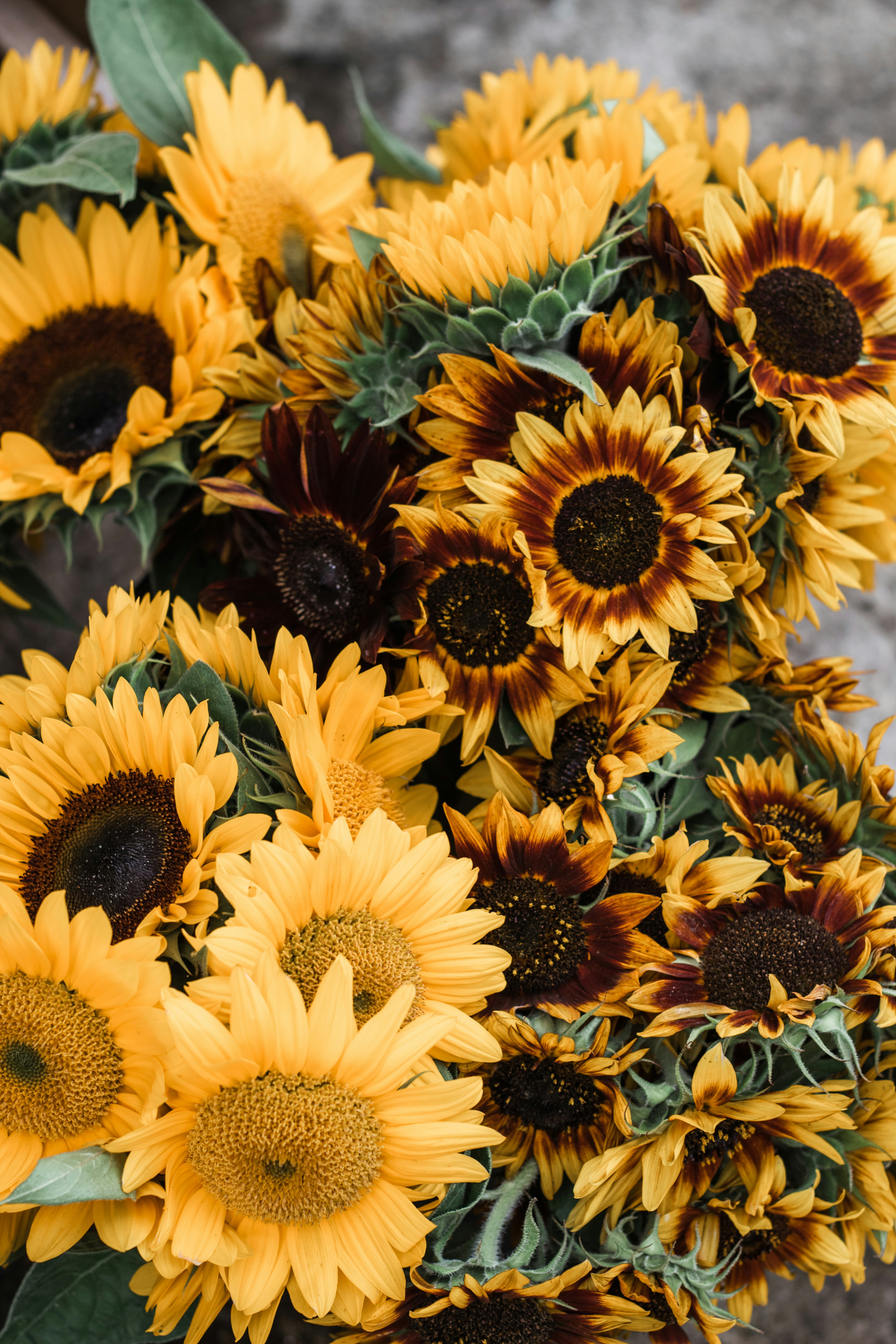 Bouquet of Mixed Sunflowers