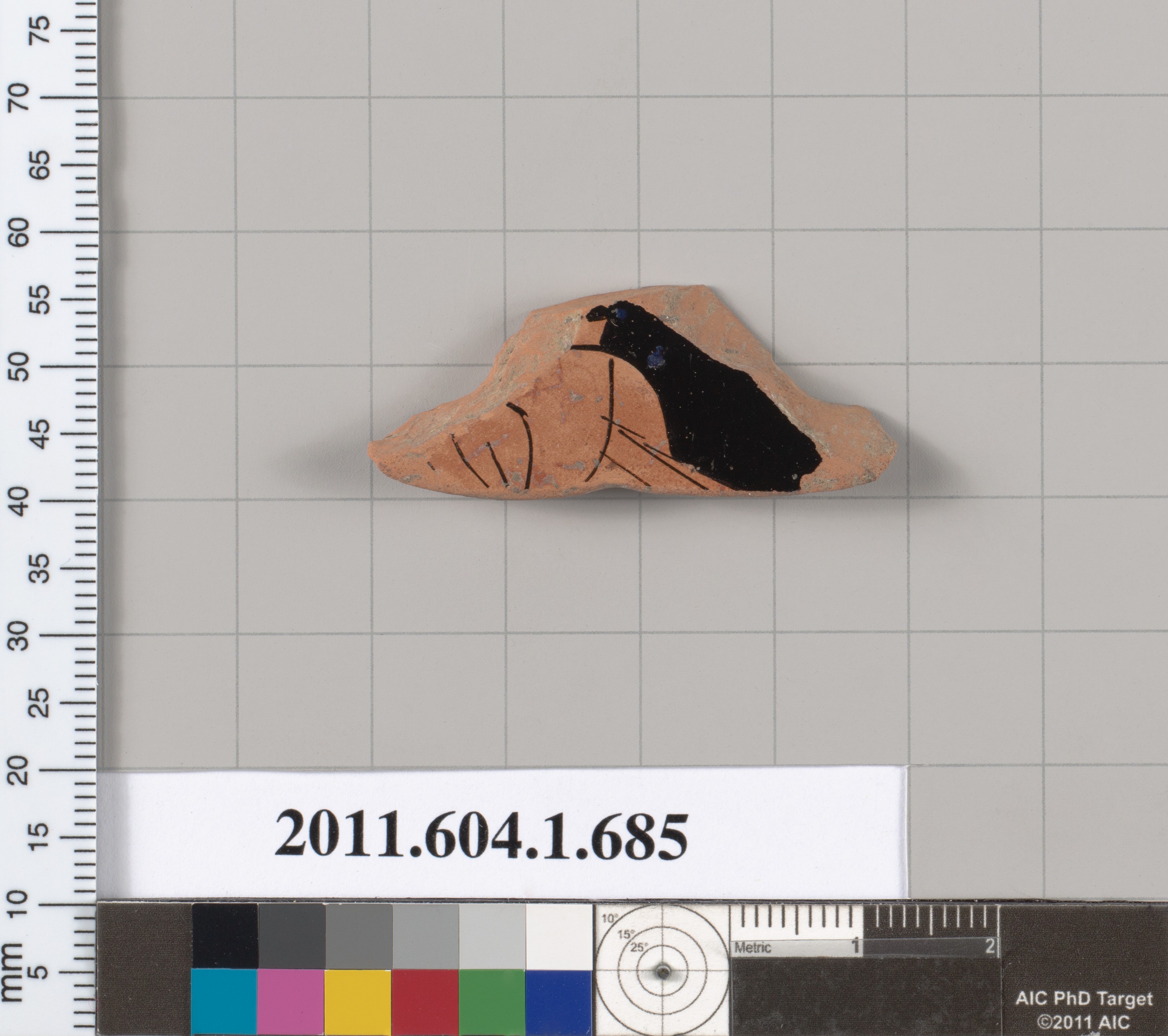 Ancient Painted Pottery Fragment