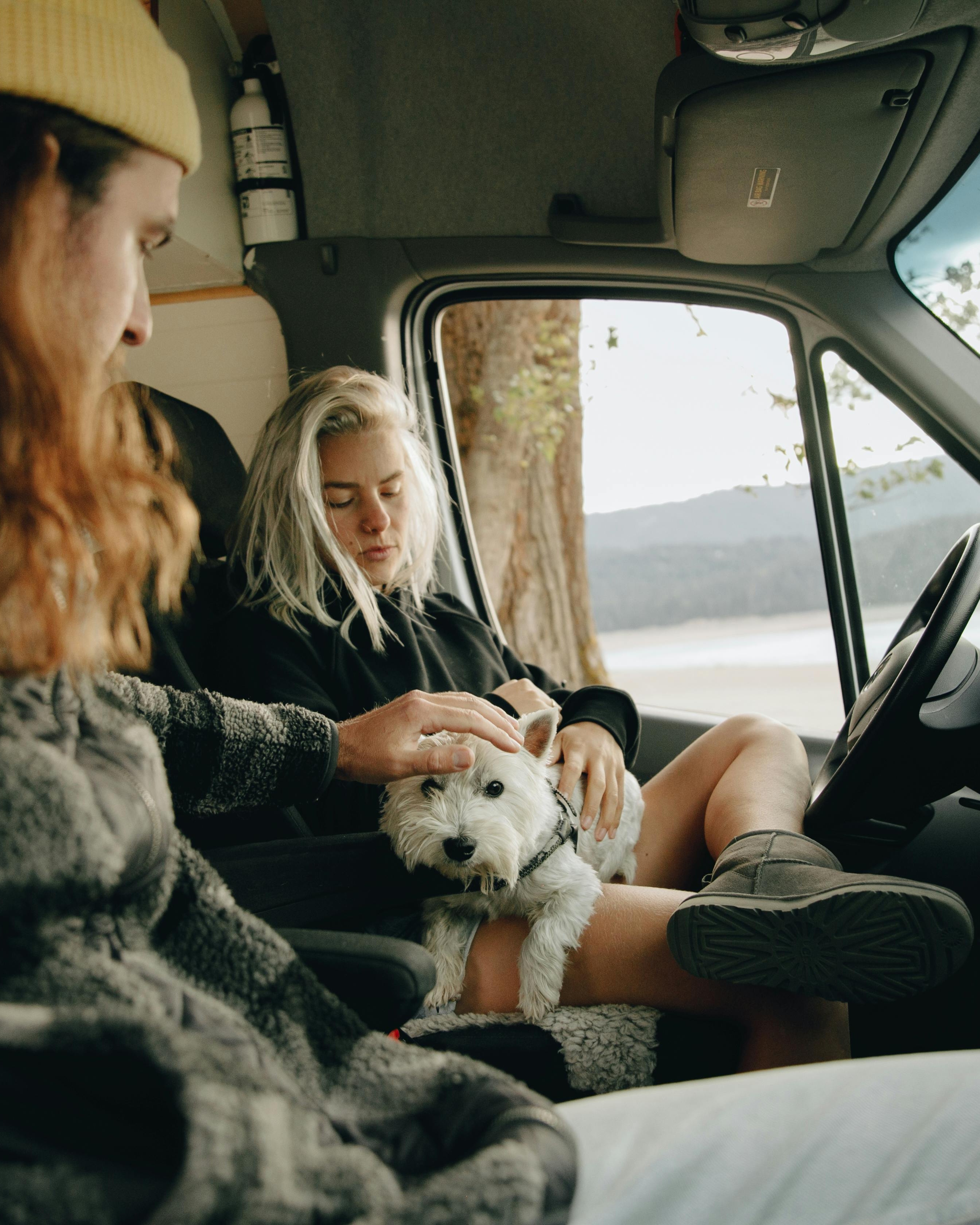 Two People and a Dog Relaxing in a Van