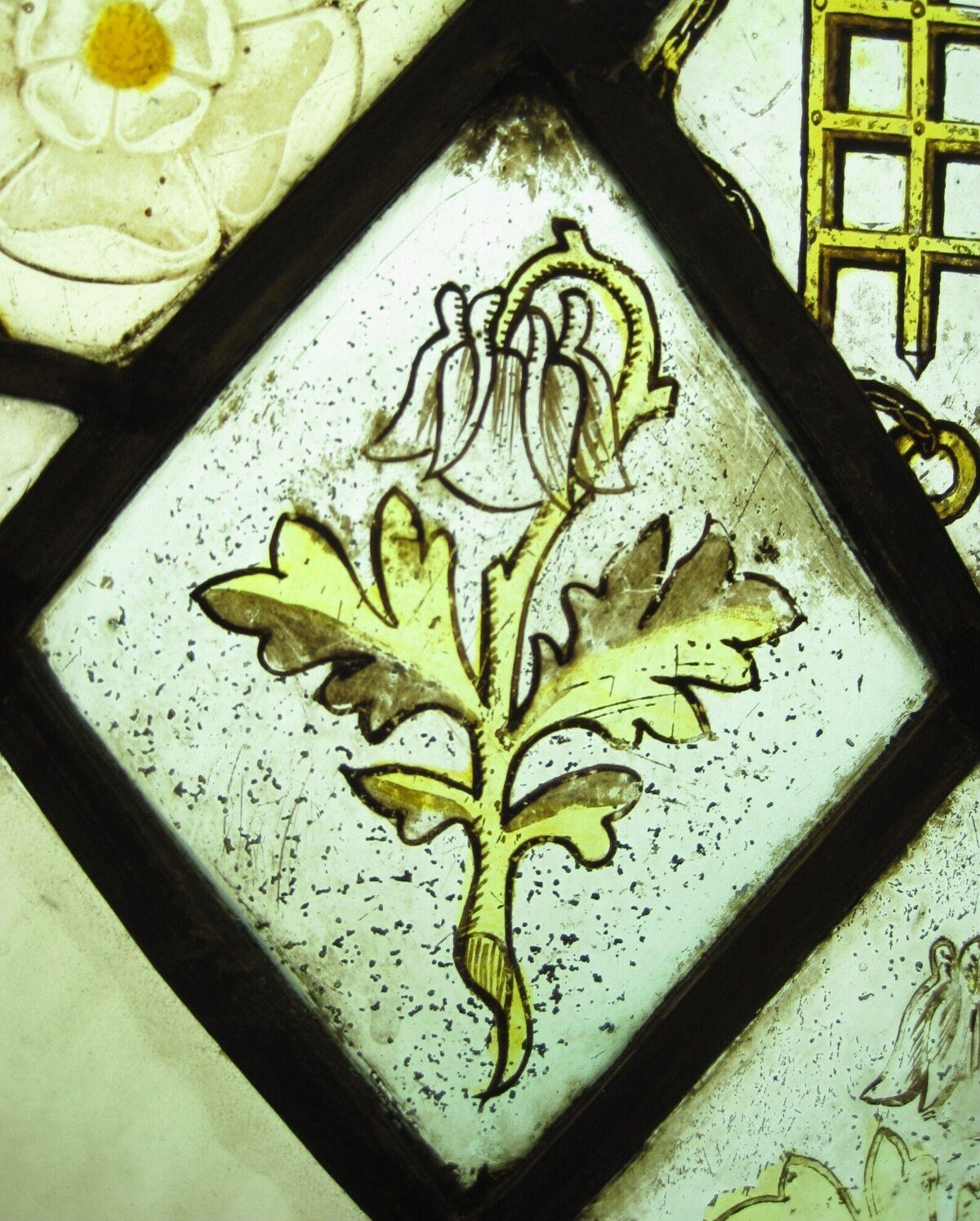 Columbine Flower Stained Glass Panel