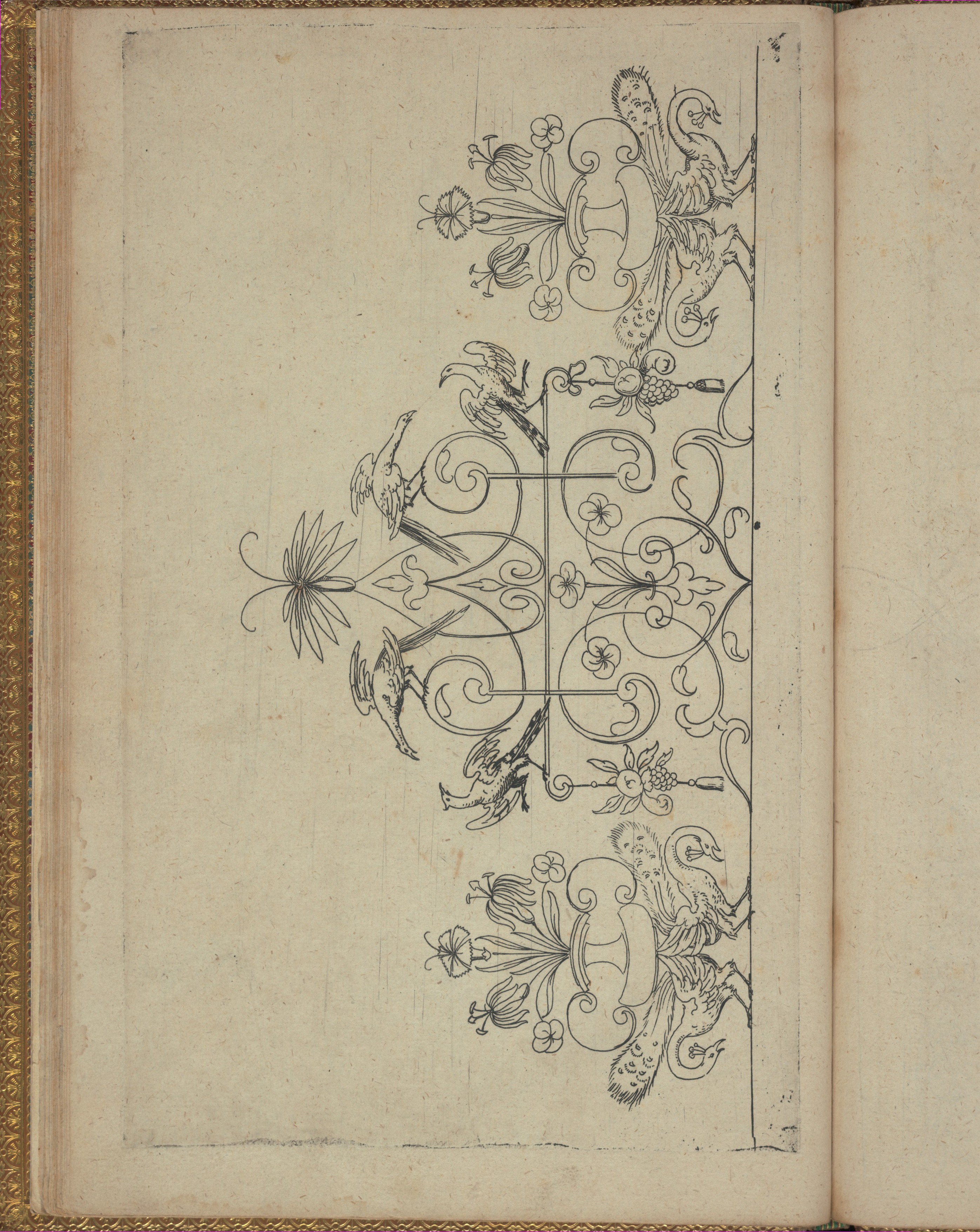 Antique Ornamental Bird Flower Line Drawing