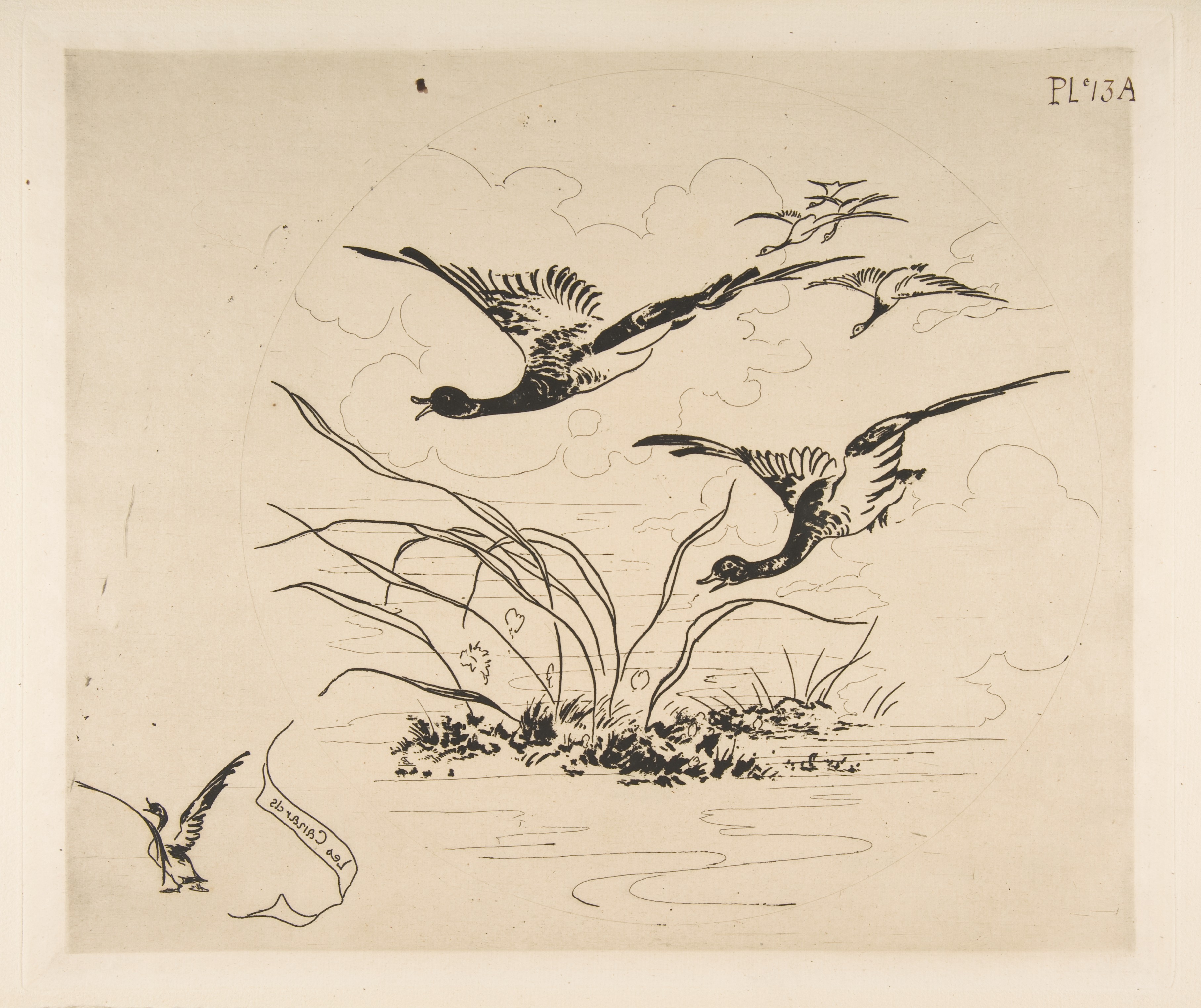 Flying Ducks Over Wetland