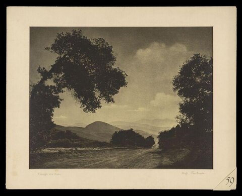 Through the Haze Landscape