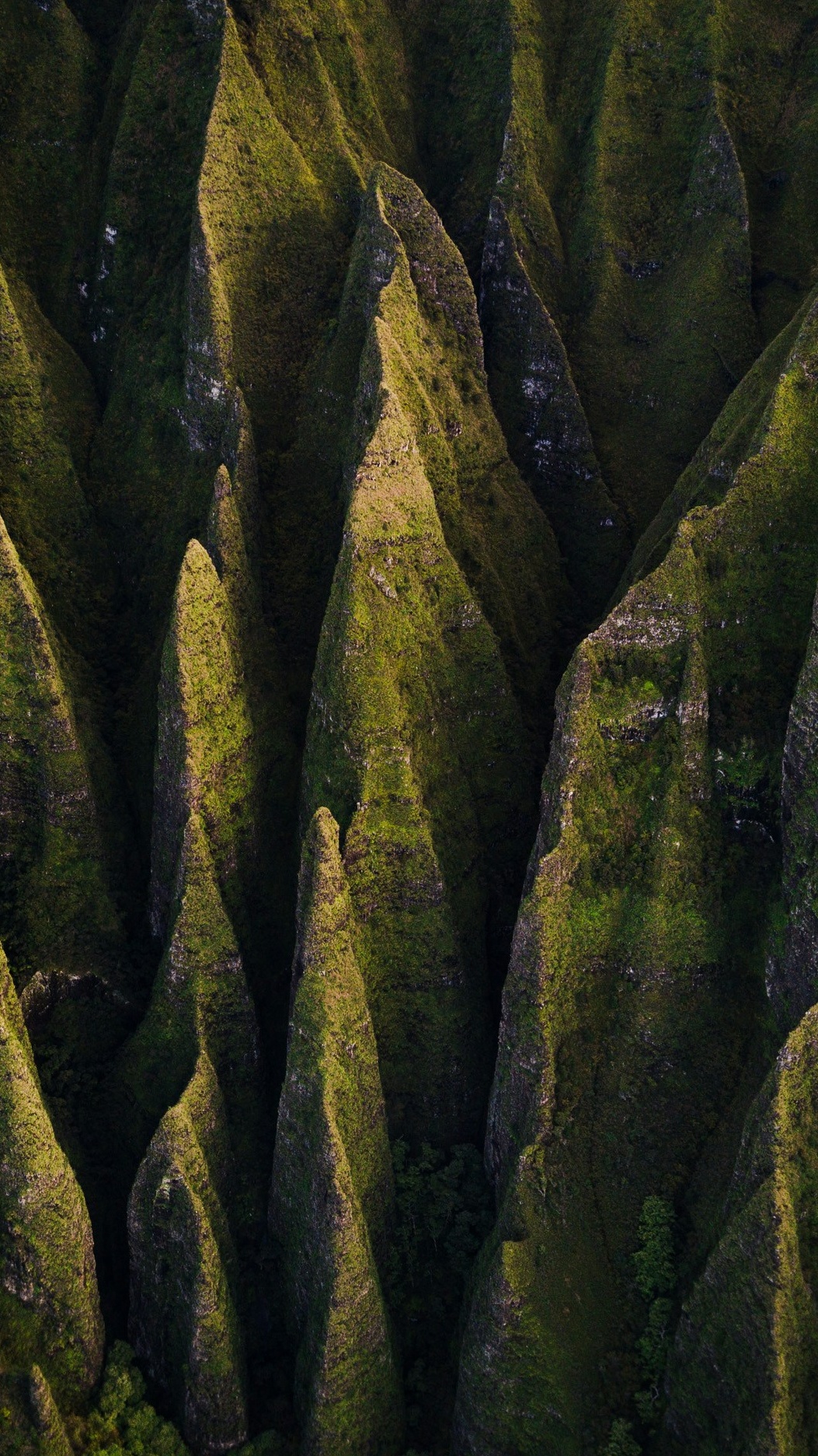 Wallpapers