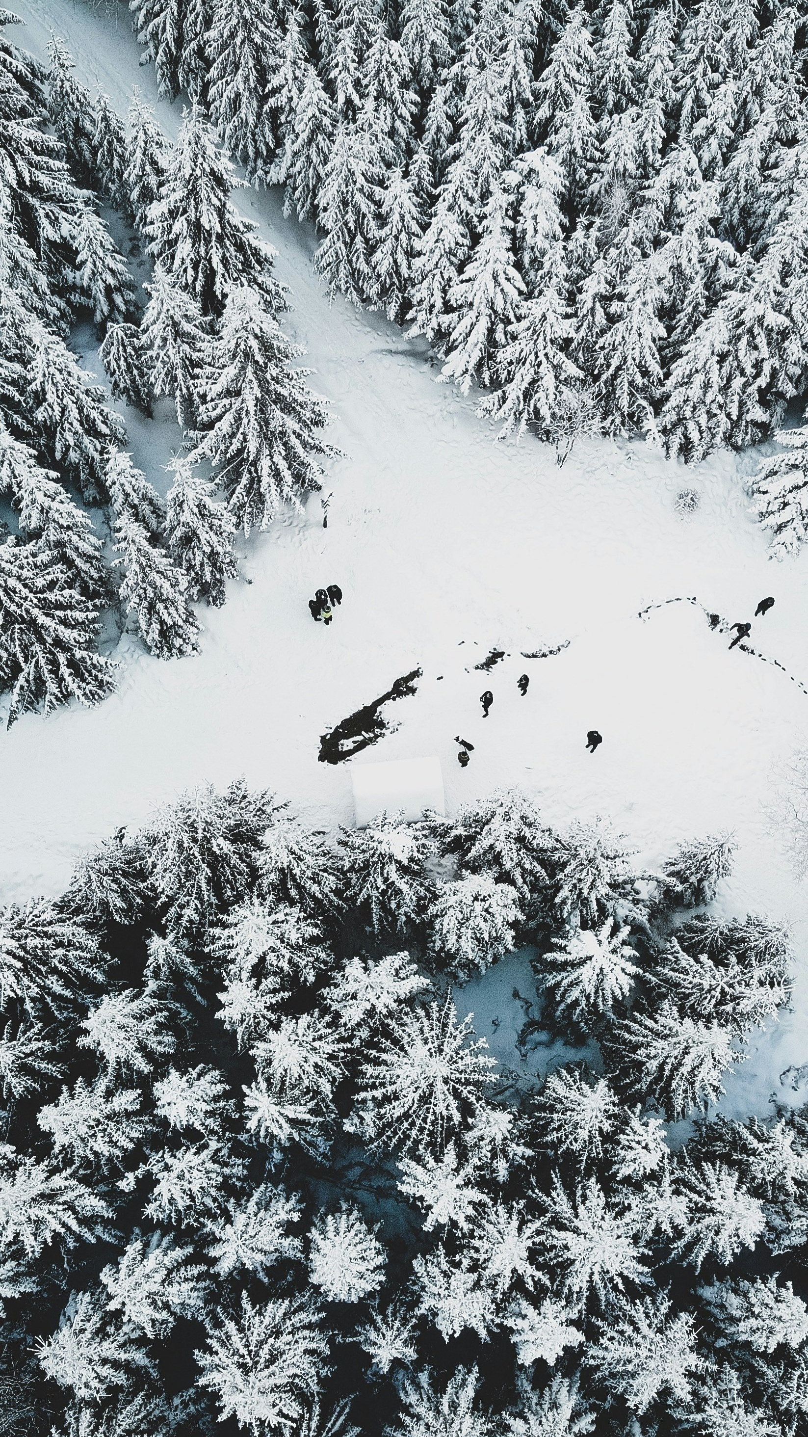 Wallpapers