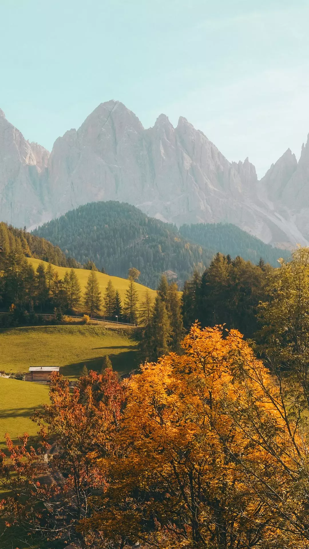Wallpapers