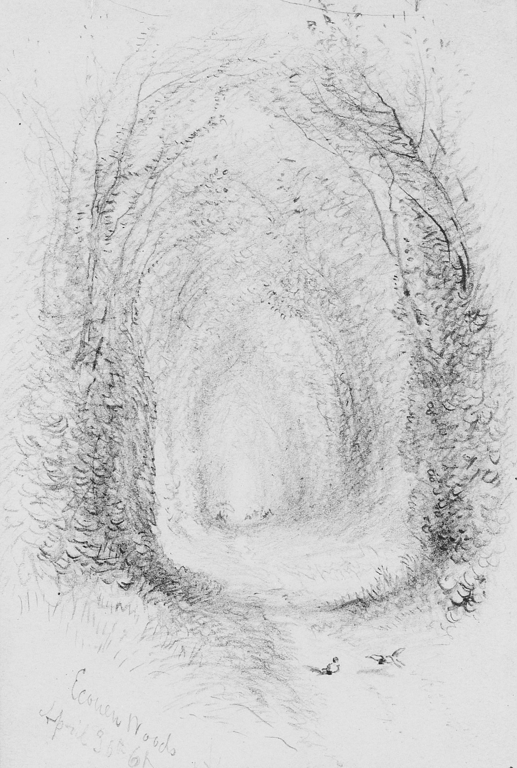 Ecouen Woods Path Sketch