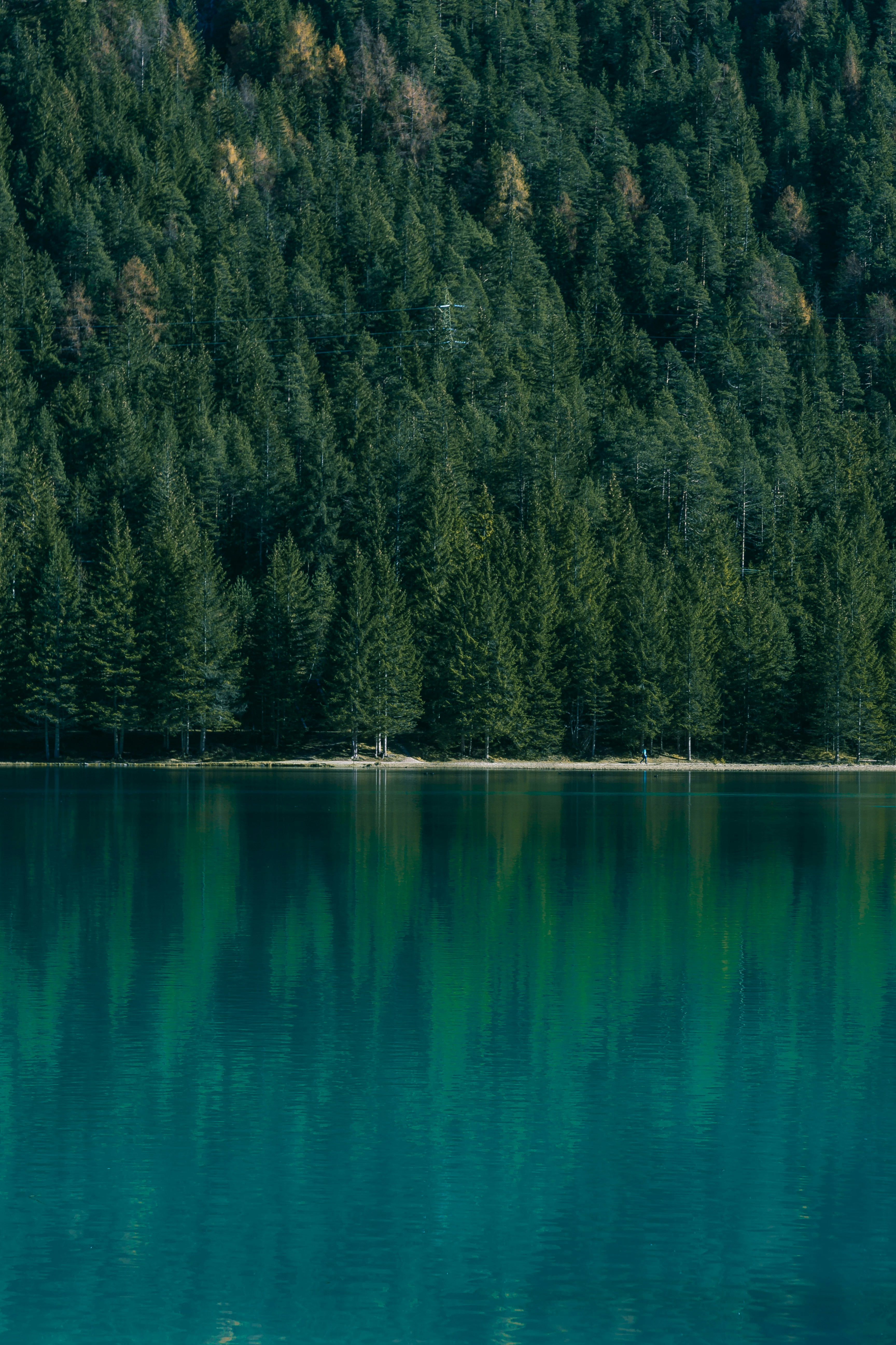 Calm Lake with Forest Reflection