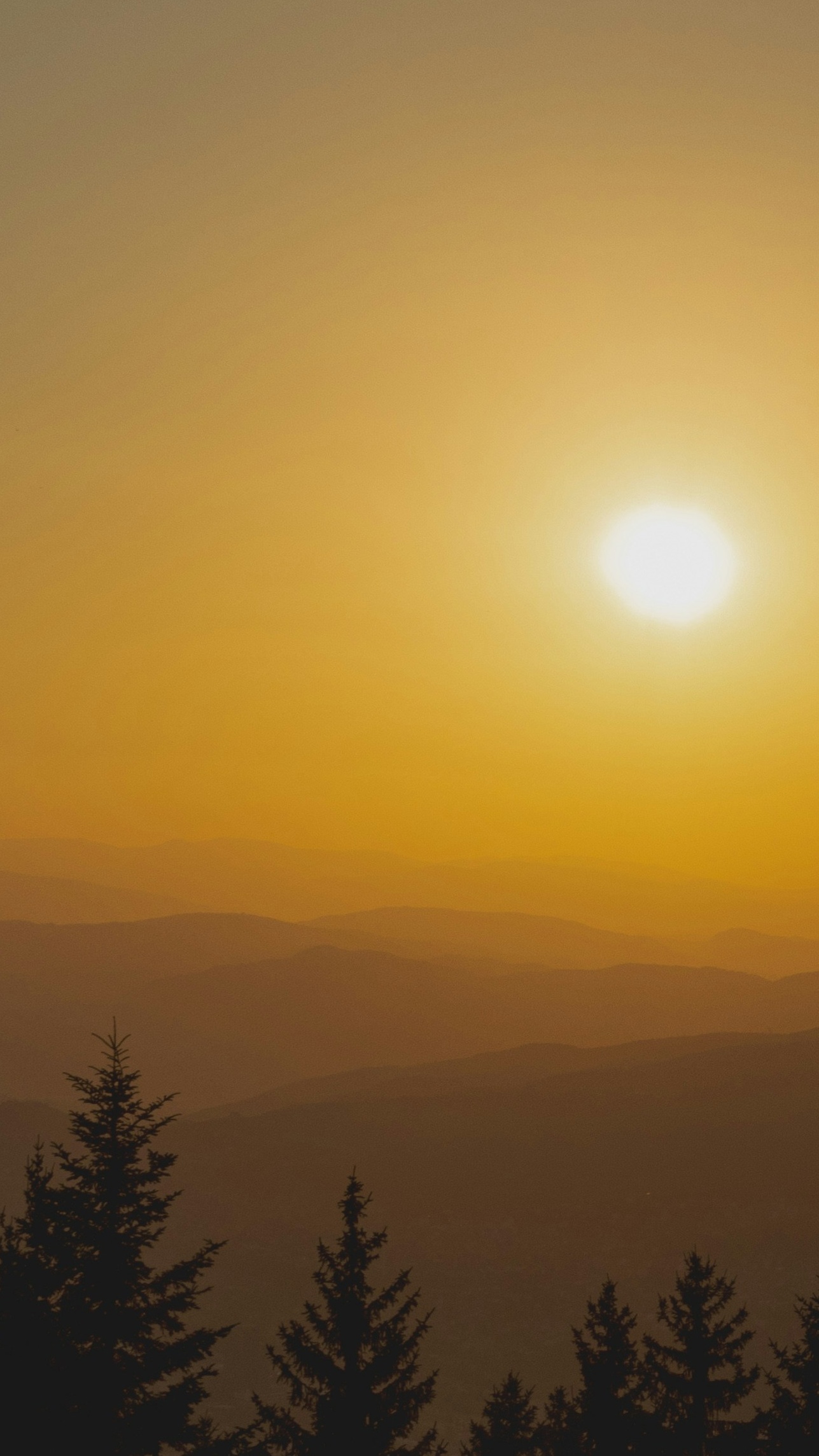 Landscapes