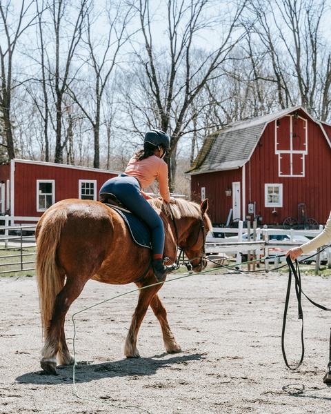Horse Riding Lesson at Country Farm