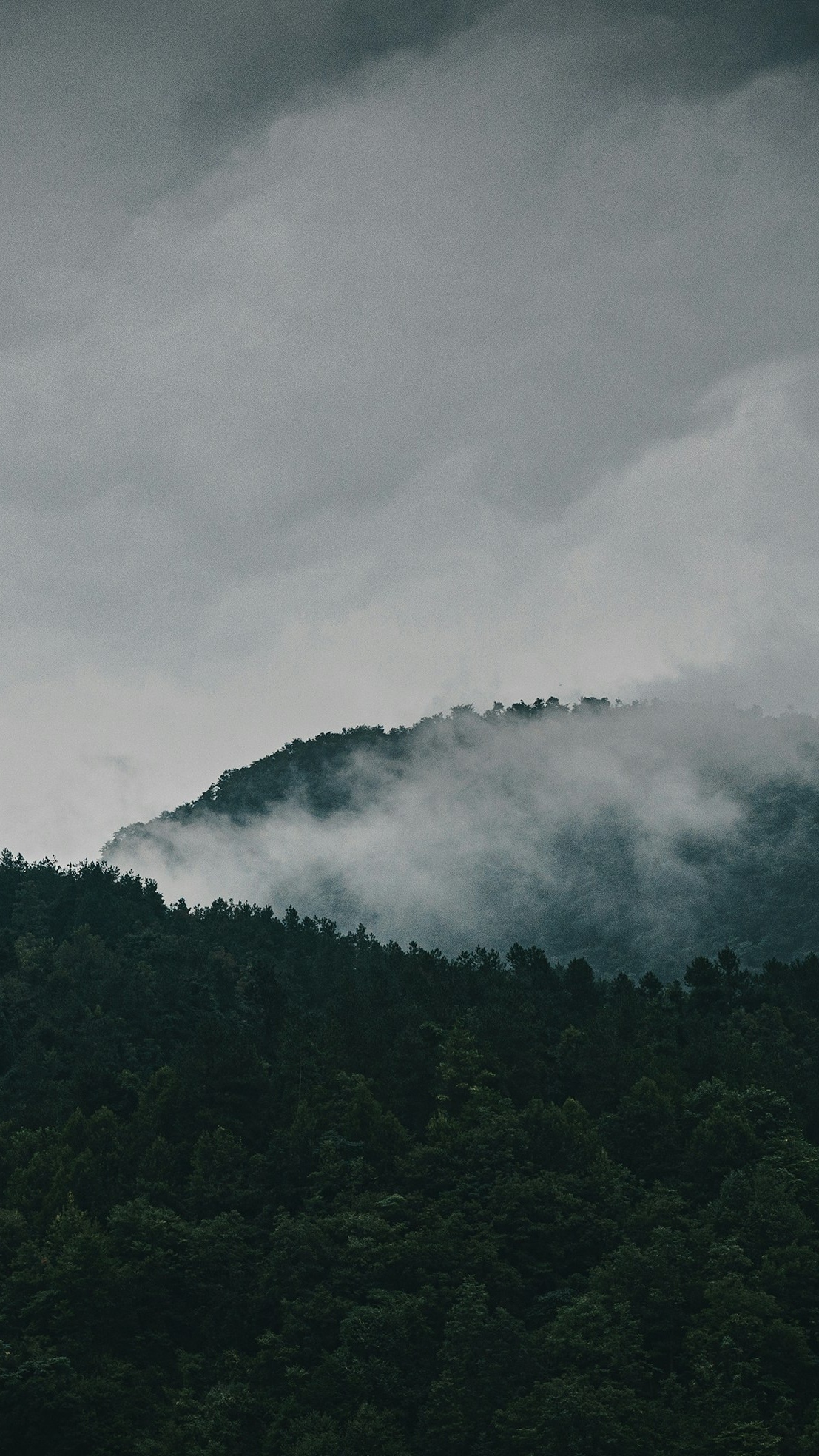 Misty Forest Mountains Under Overcast Sky