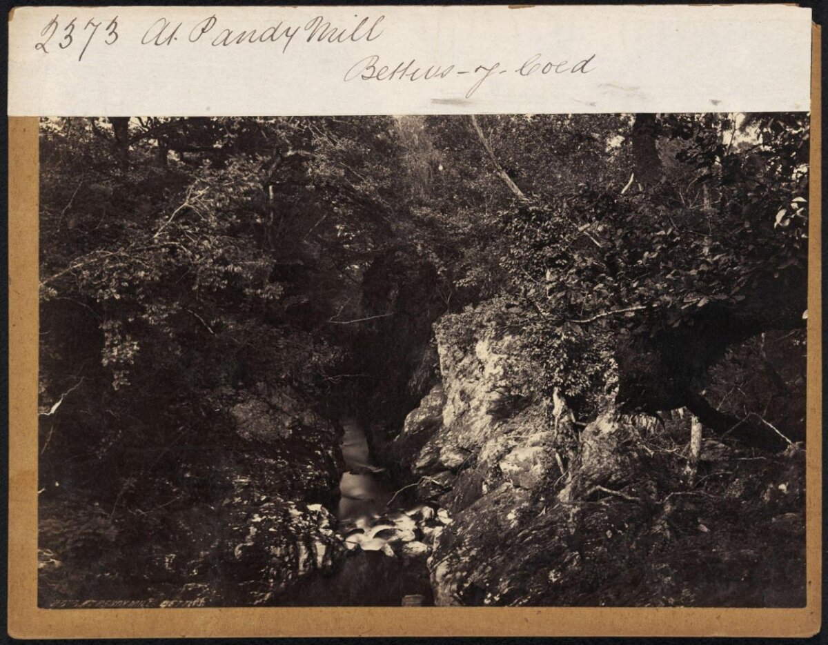River Gorge at Pandy Mill