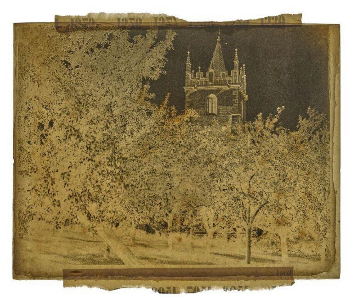 Vintage Photo of Church Tower Above Trees