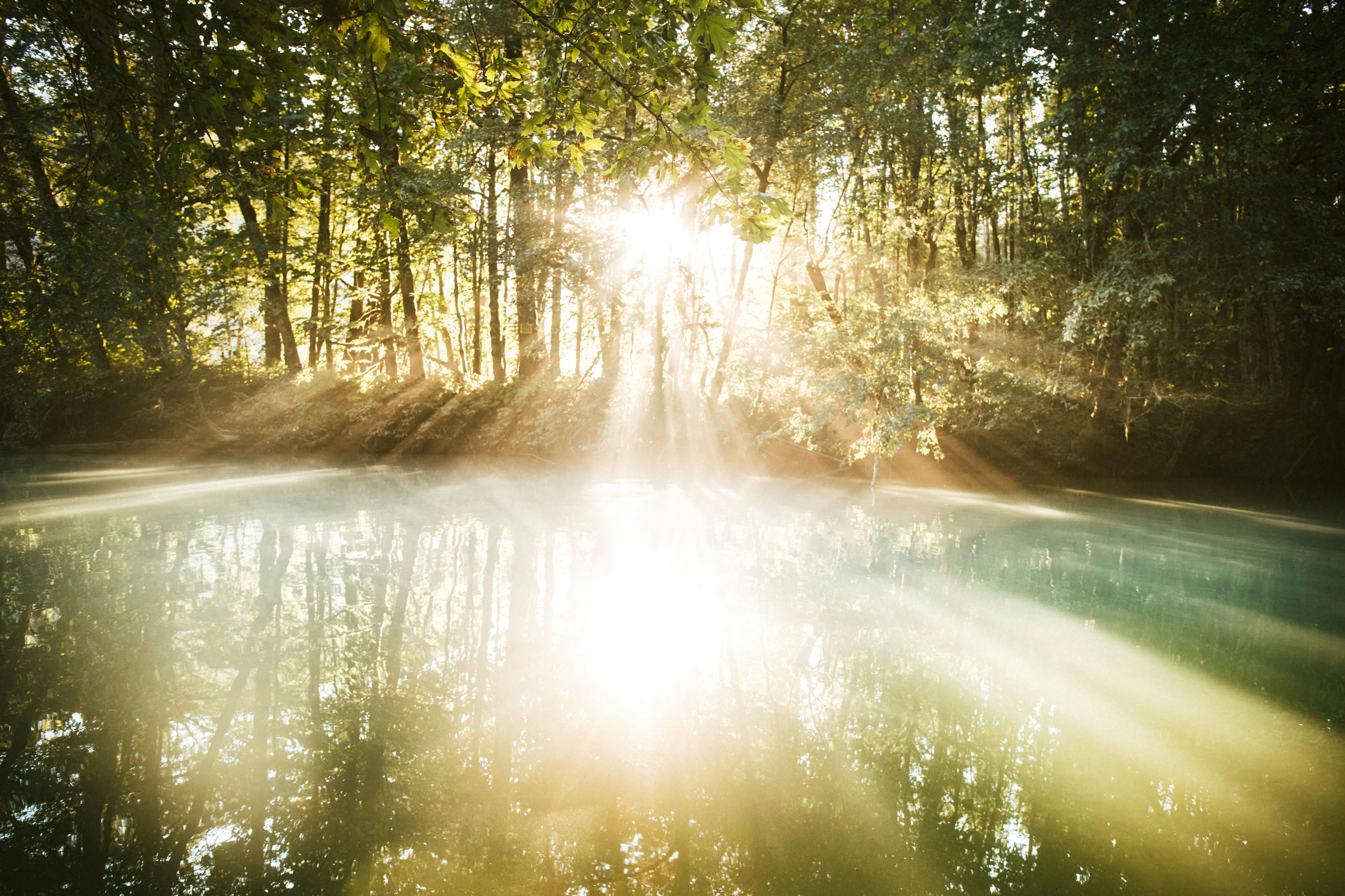 Sunlight Through Forest Over River