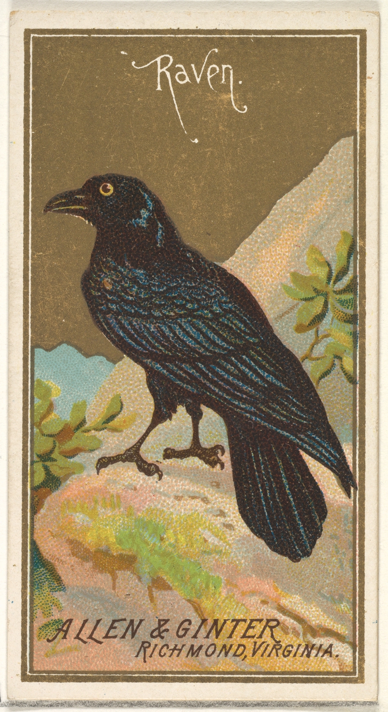 Vintage Raven Trading Card