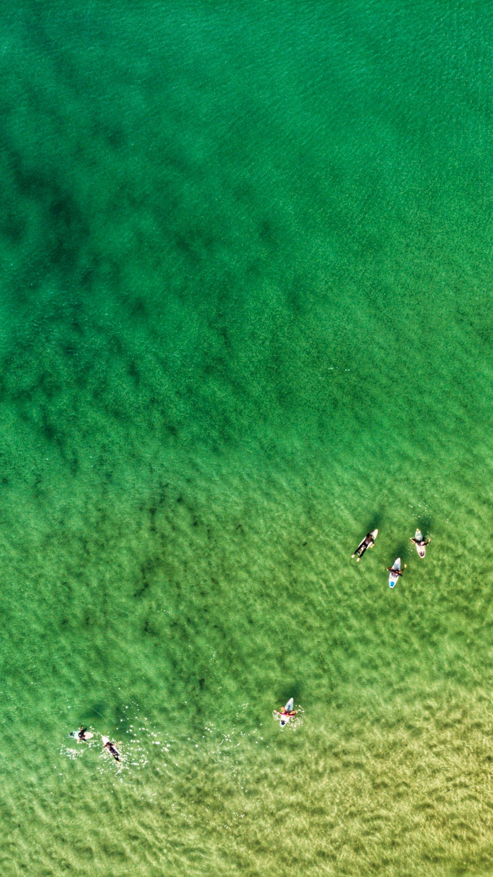 Wallpapers
