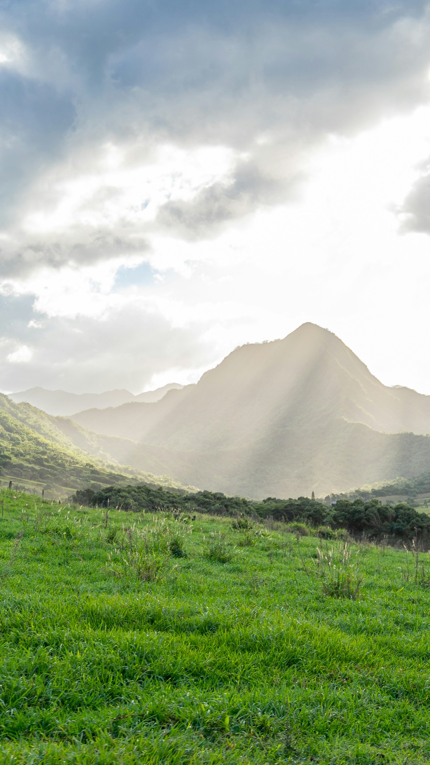 Landscapes