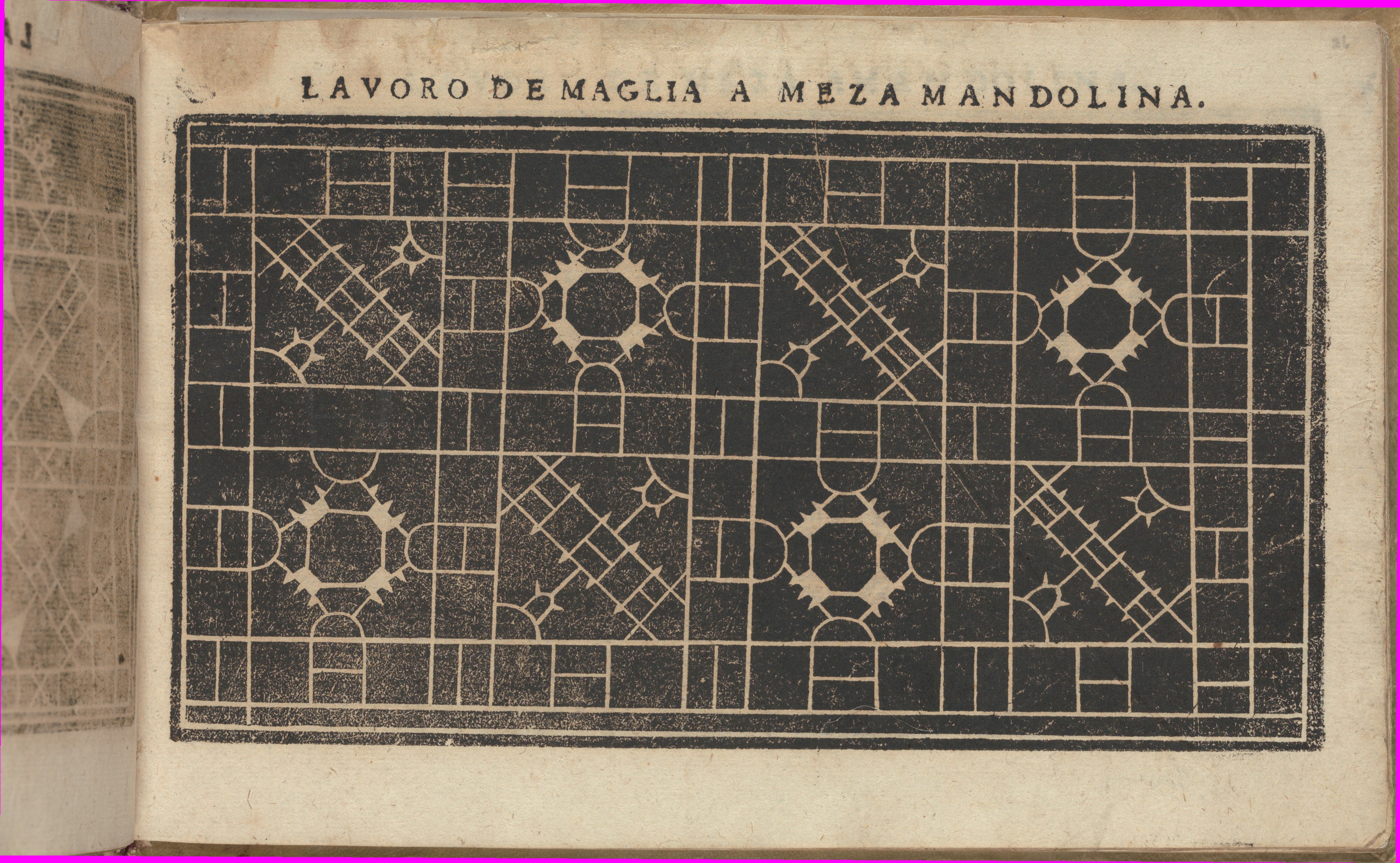 Antique Italian Lace Pattern Print