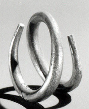 Two Interlocked Metal Rings