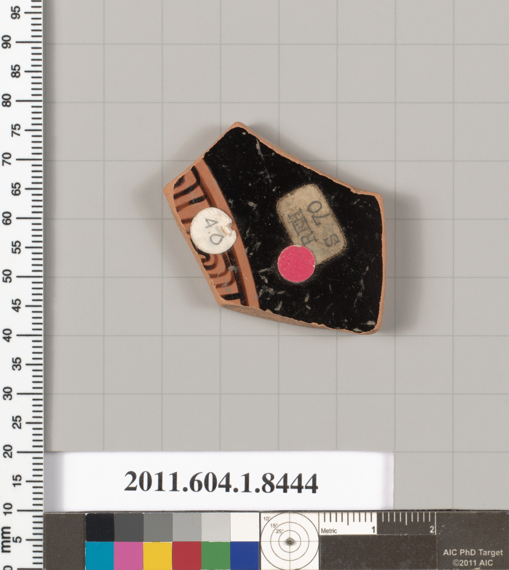 Cataloged Pottery Fragment Sample