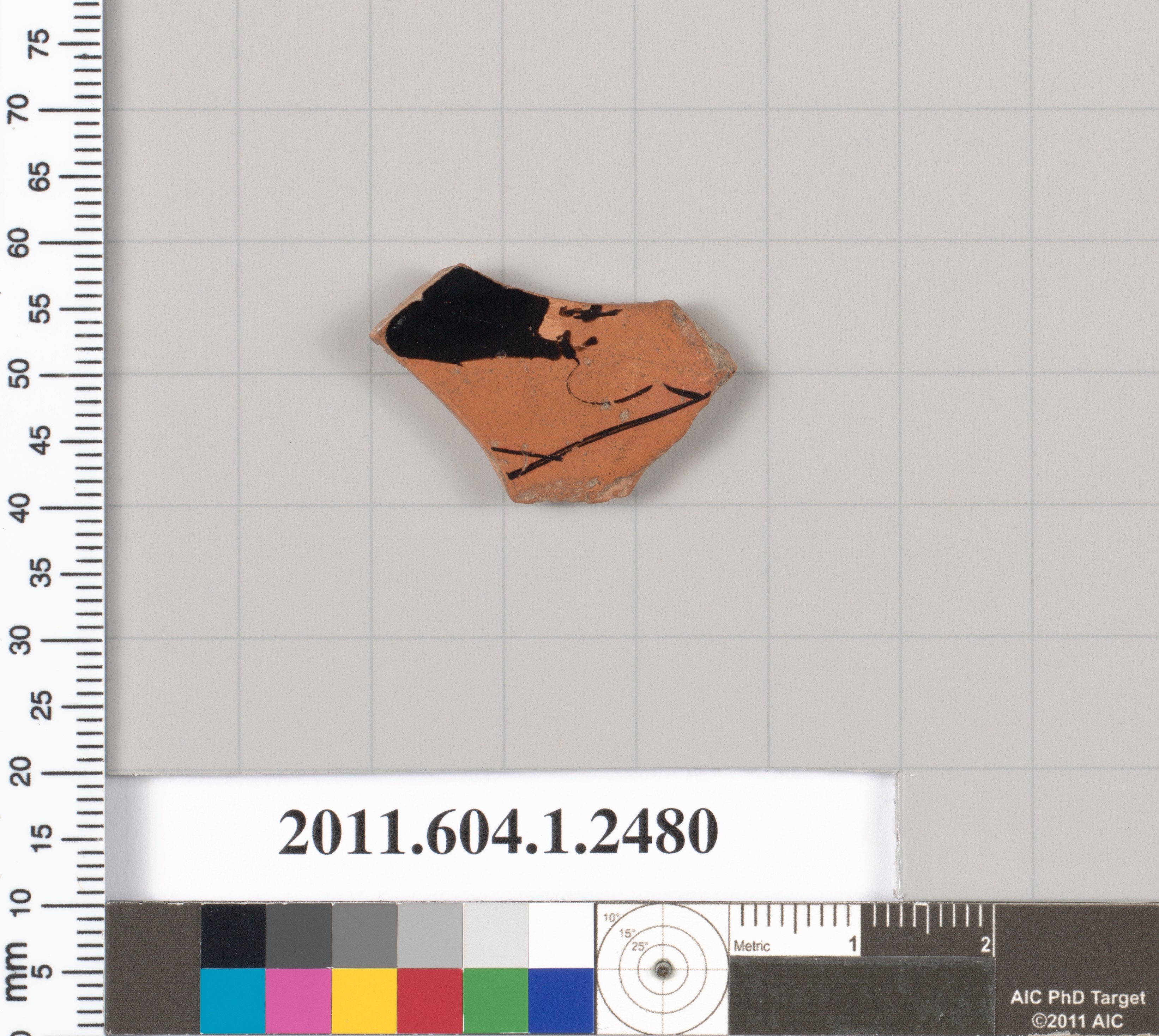 Archaeological Pottery Shard Specimen