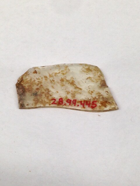 Labeled Glass Artifact Fragment