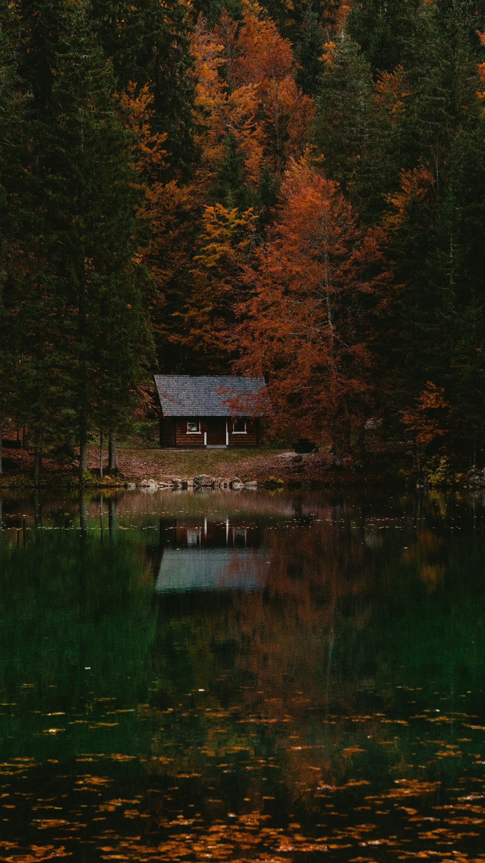 Wallpapers