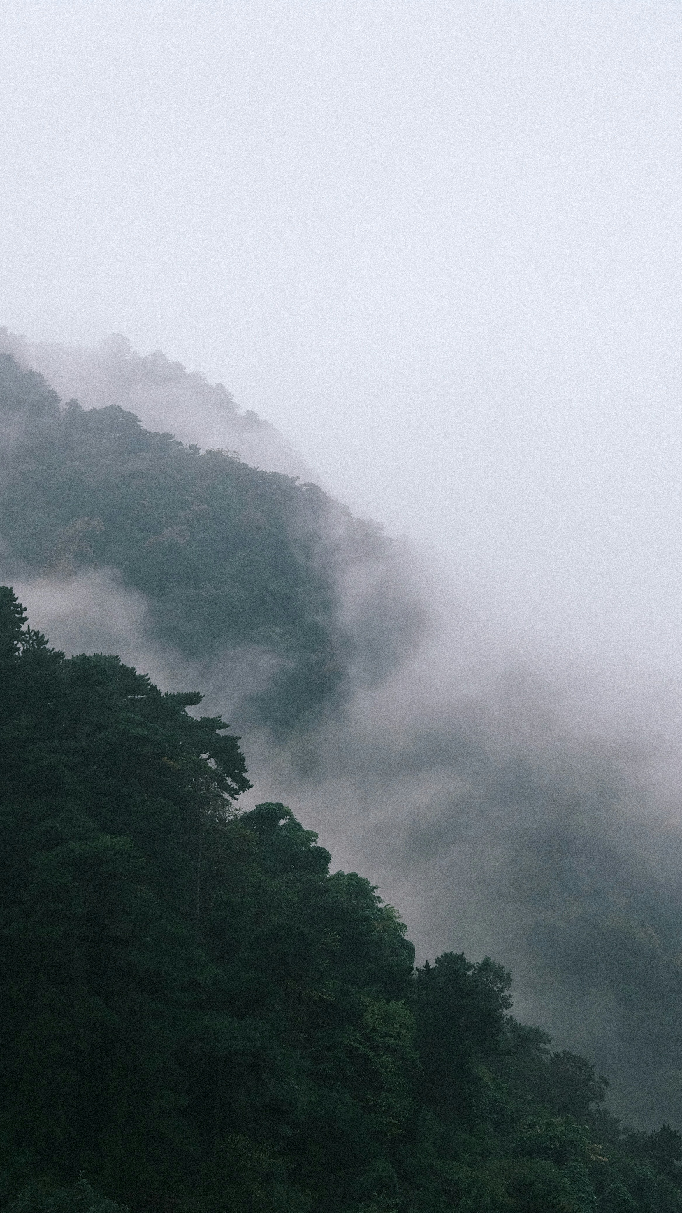 Landscapes