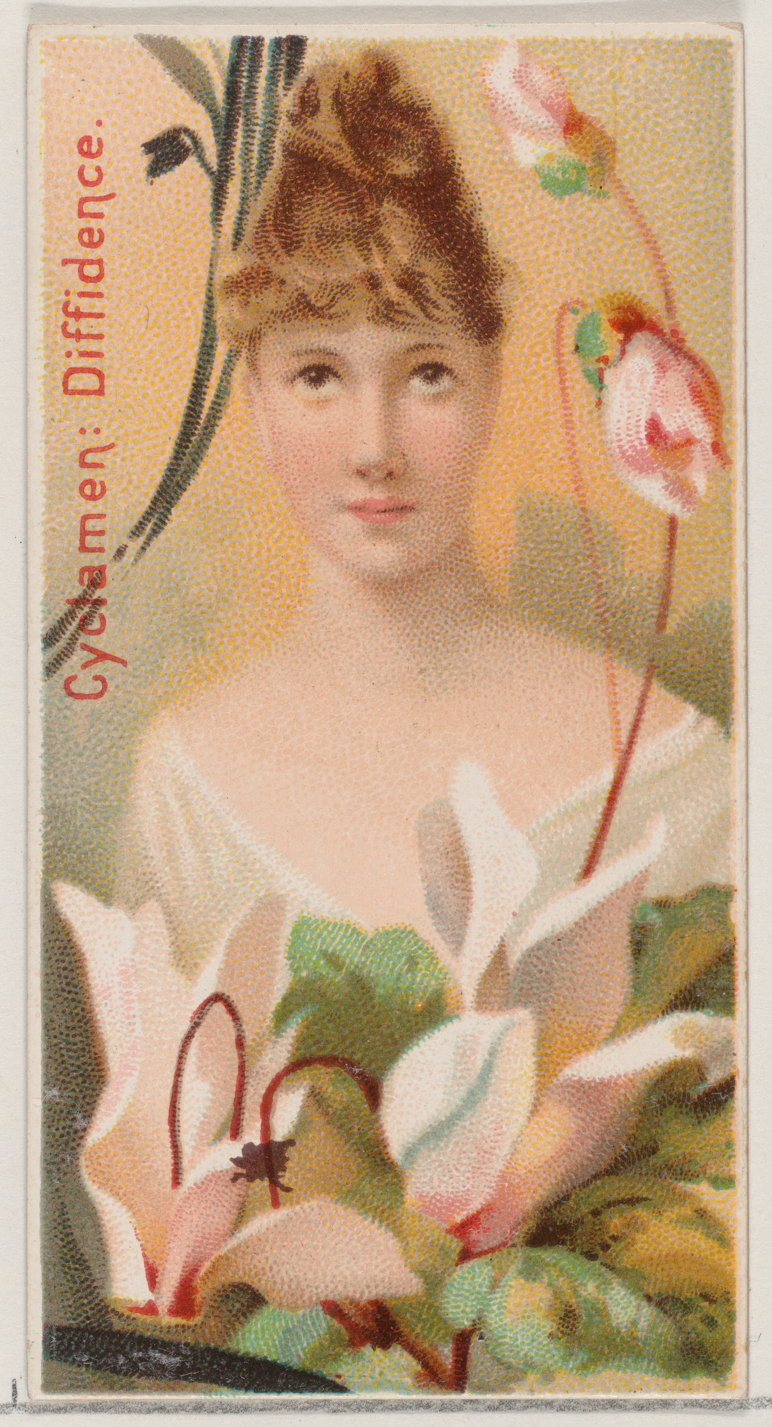 Cyclamen Diffidence Vintage Art Card