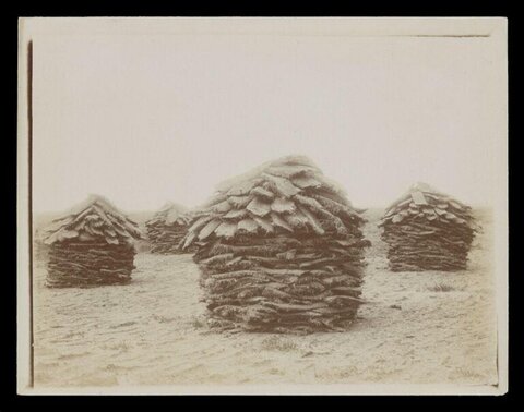 Stacked Animal Hides on Open Ground