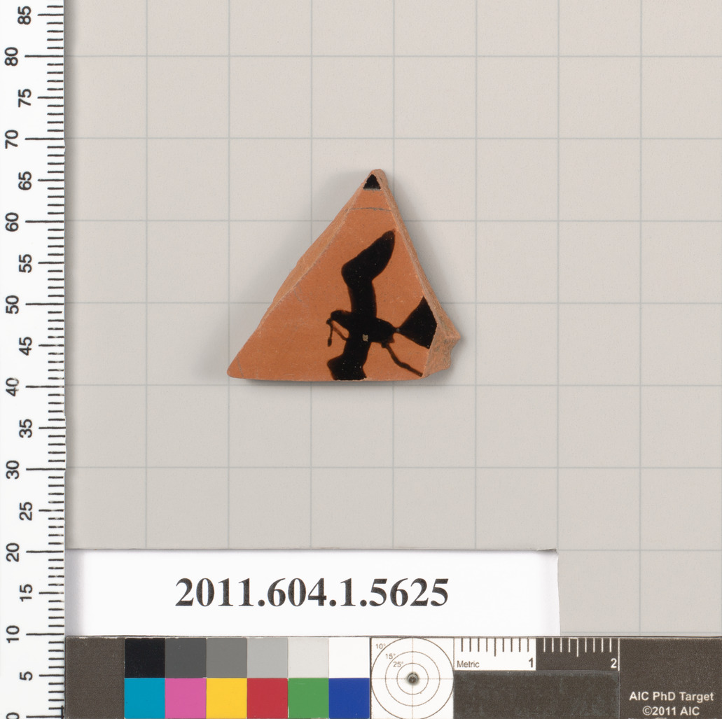 Ancient Black Figure Pottery Fragment