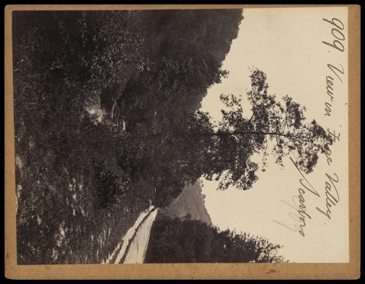 Vintage View of Free Valley