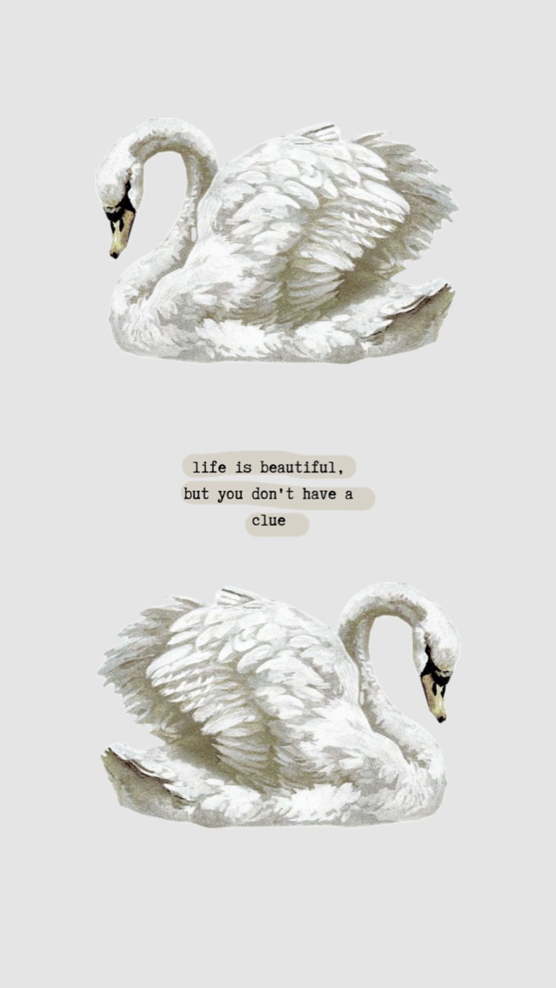 Wallpapers