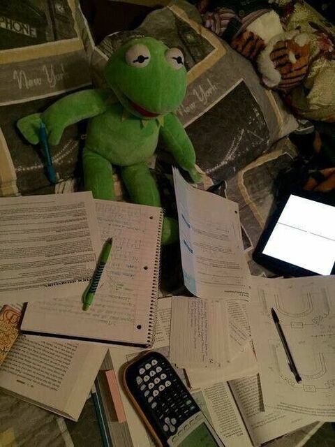 Kermit the Frog Doing Homework