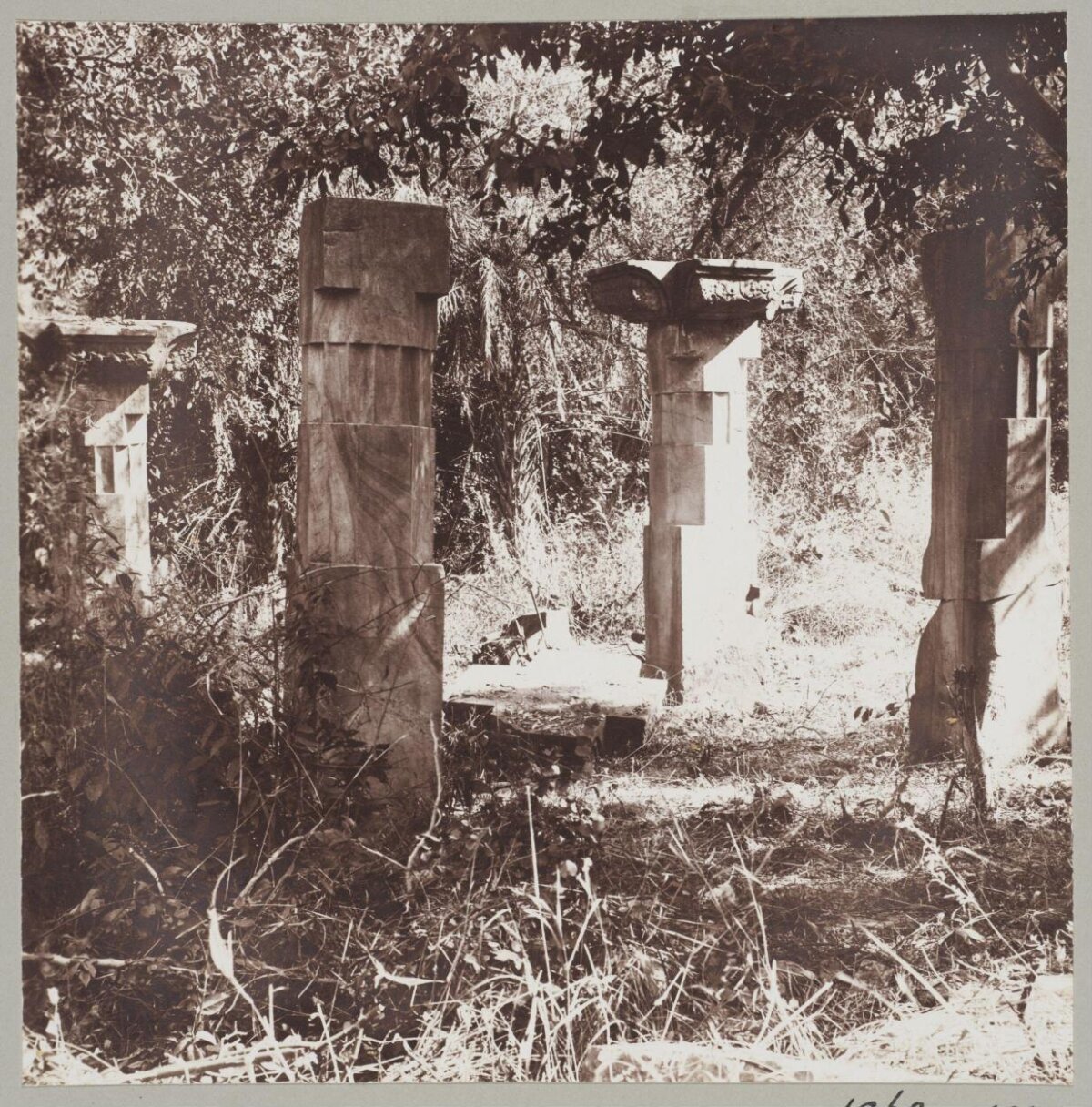 Overgrown Ancient Stone Pillar Ruins